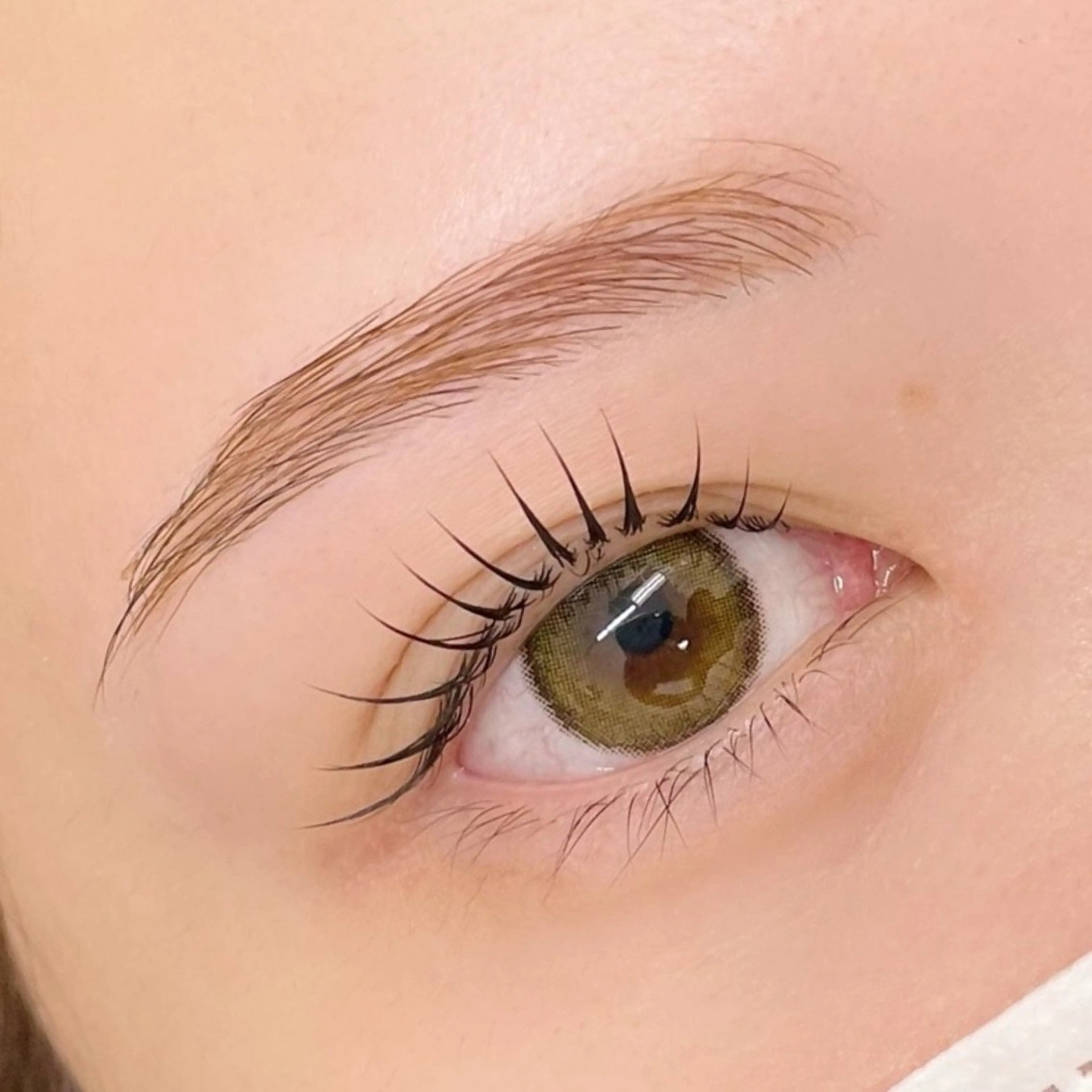 選べるラッシュリフト+眉スタイリングの写真