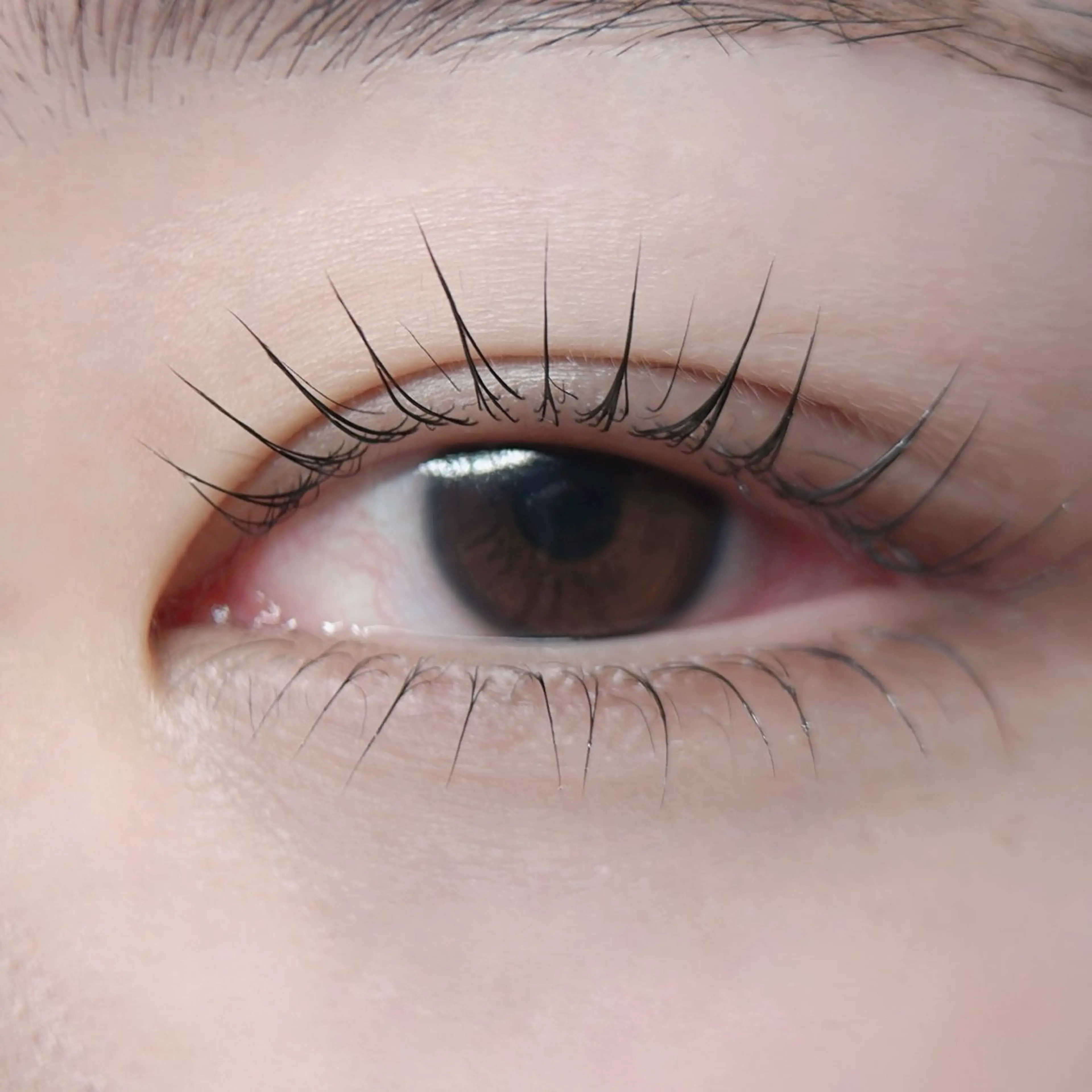 マツエク・マツパ 下まつげエクステ 一重×まつ毛パーマ LUXE 田澤のマツエク・マツパデザイン