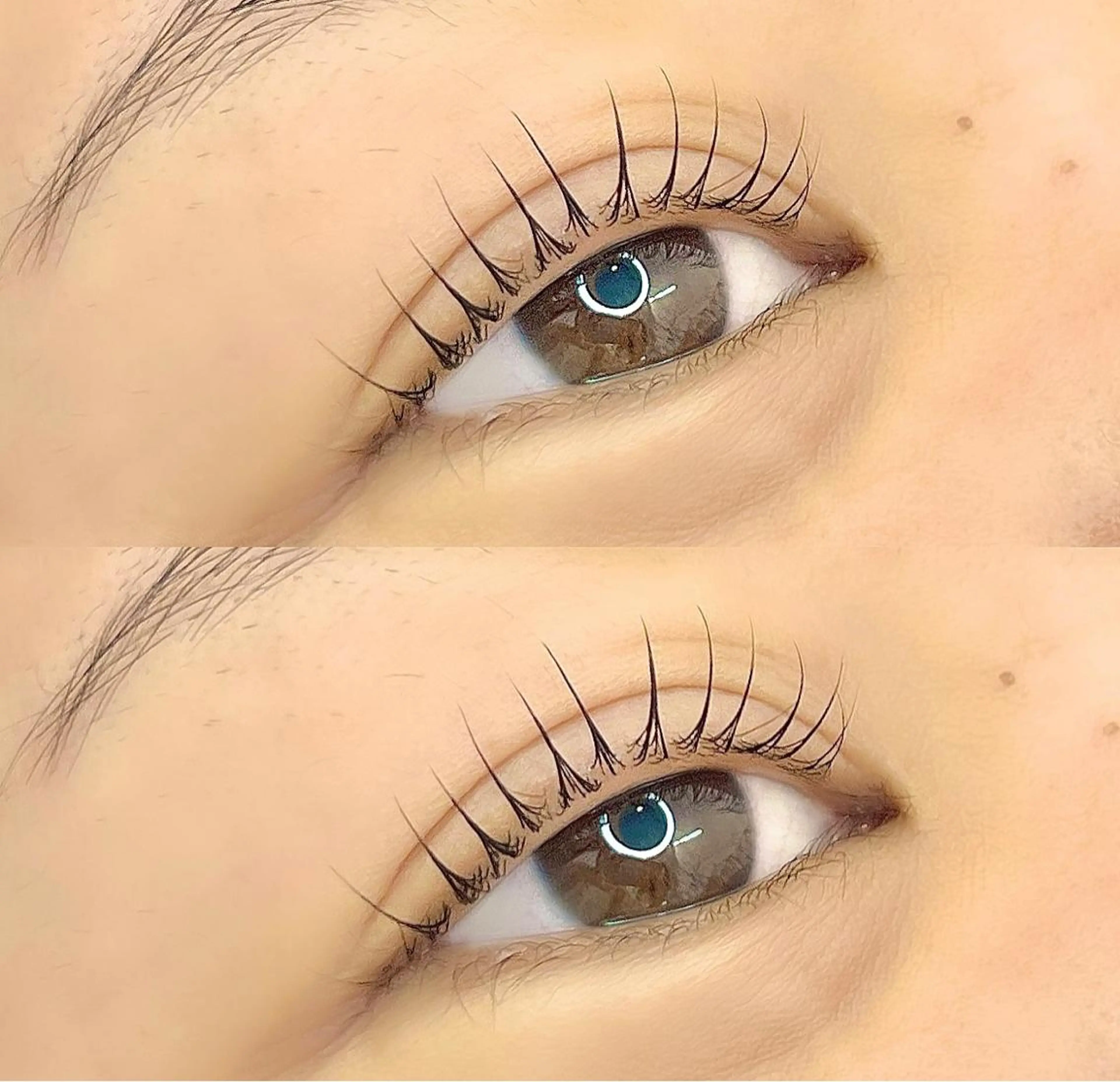 マツエク・マツパ 仙台・ᴇʏᴇʟᴀsʜ 〖ʜᴀʀᴜɴᴀ〗のマツエク・マツパデザイン