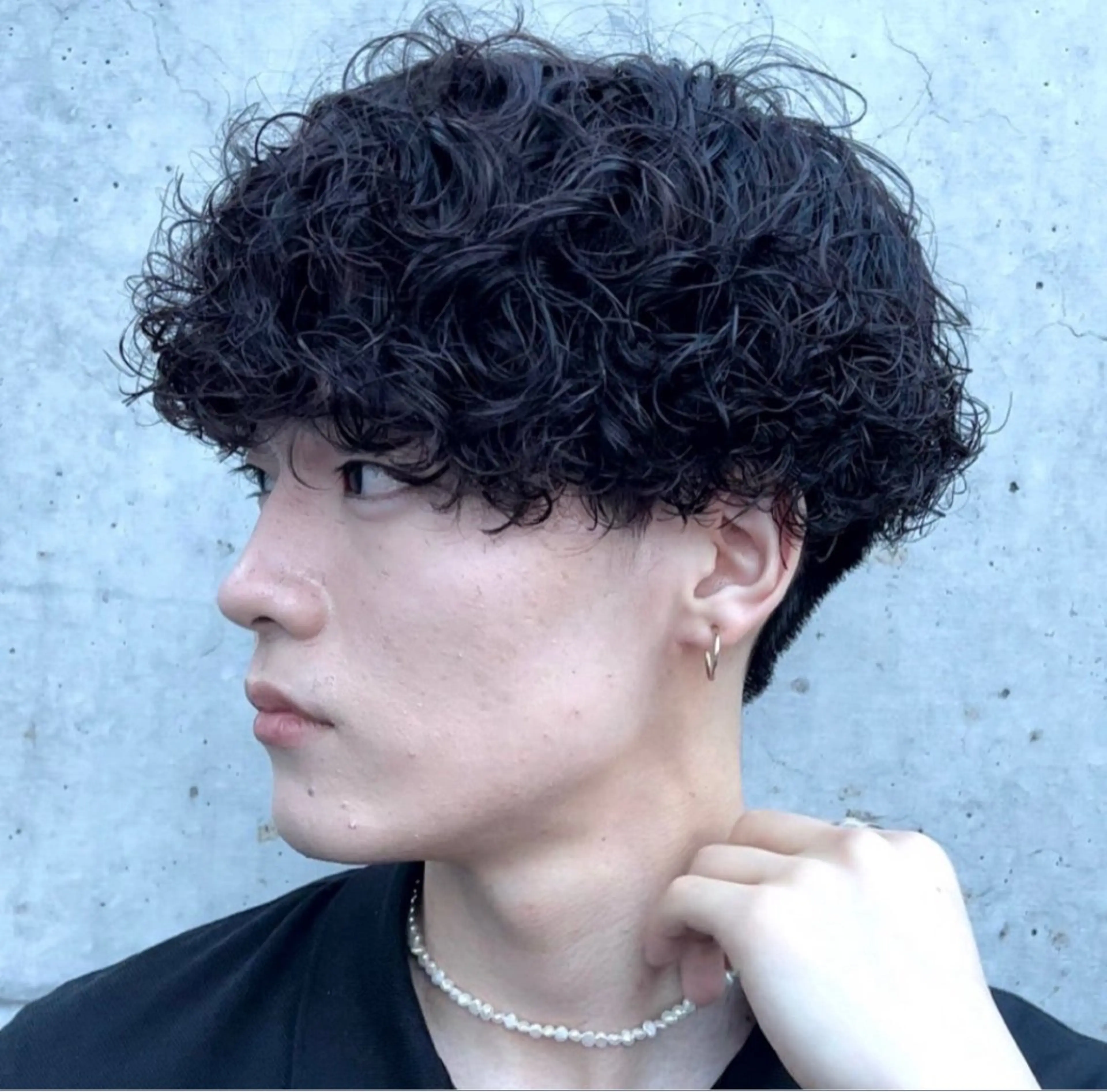 ⚠️限定価格⚠️当店スタイリストカット✂️＋プードルパーマ🐶の写真