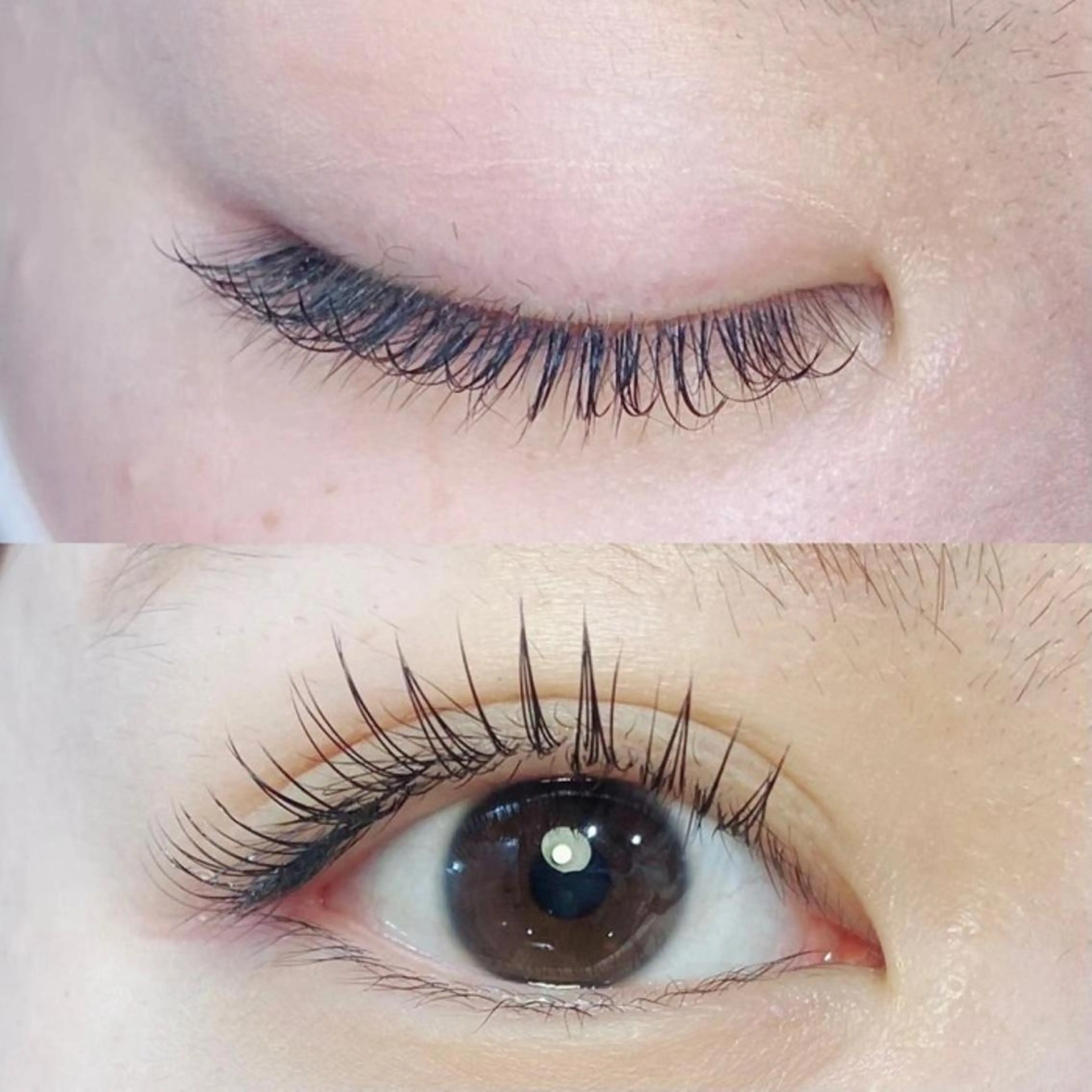 マツエク・マツパ マツエク 高橋 ルネのマツエク・マツパデザイン