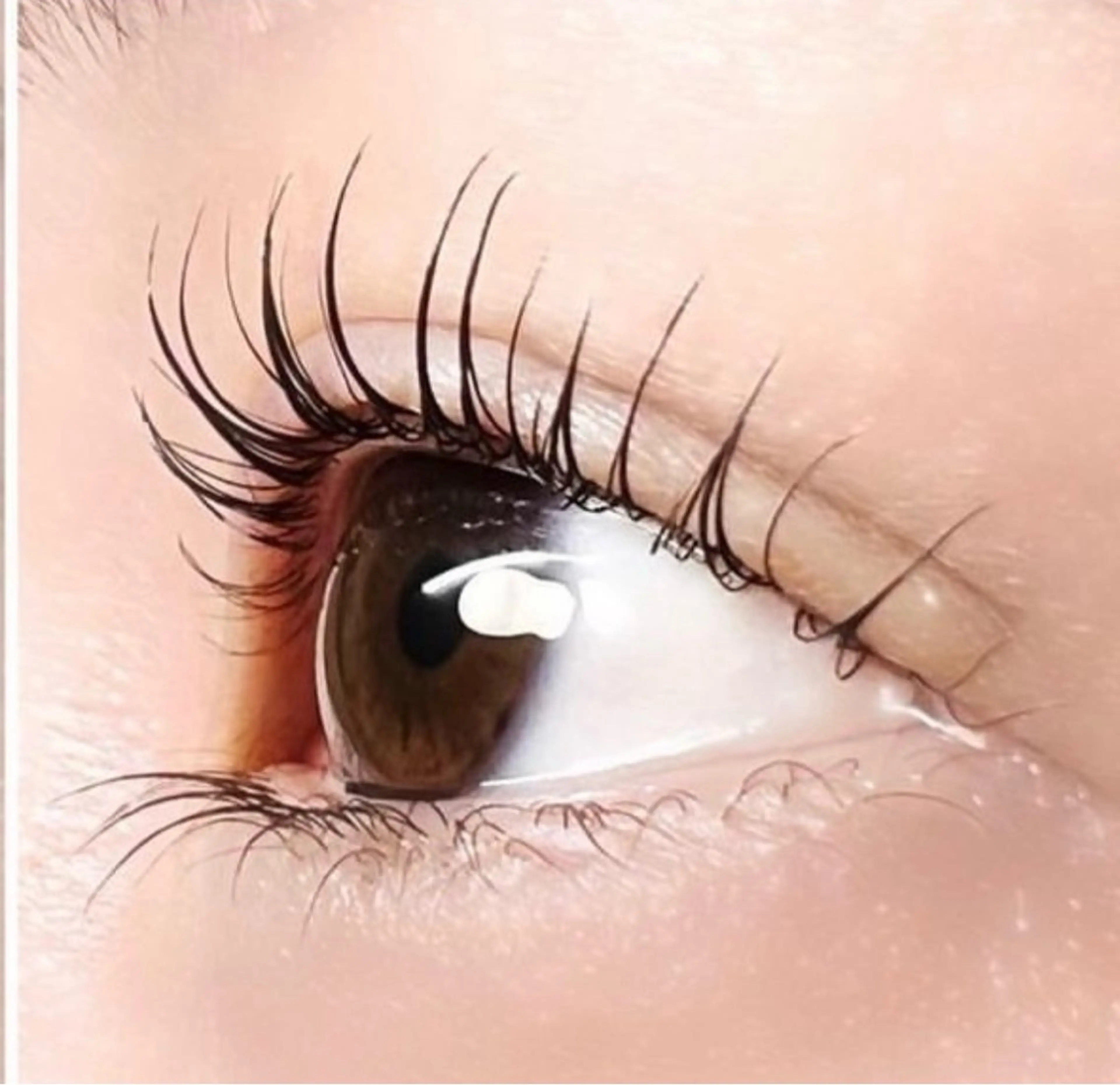 マツエク・マツパ 自まつ毛を大切にする まつ毛Ｐのマツエク・マツパデザイン