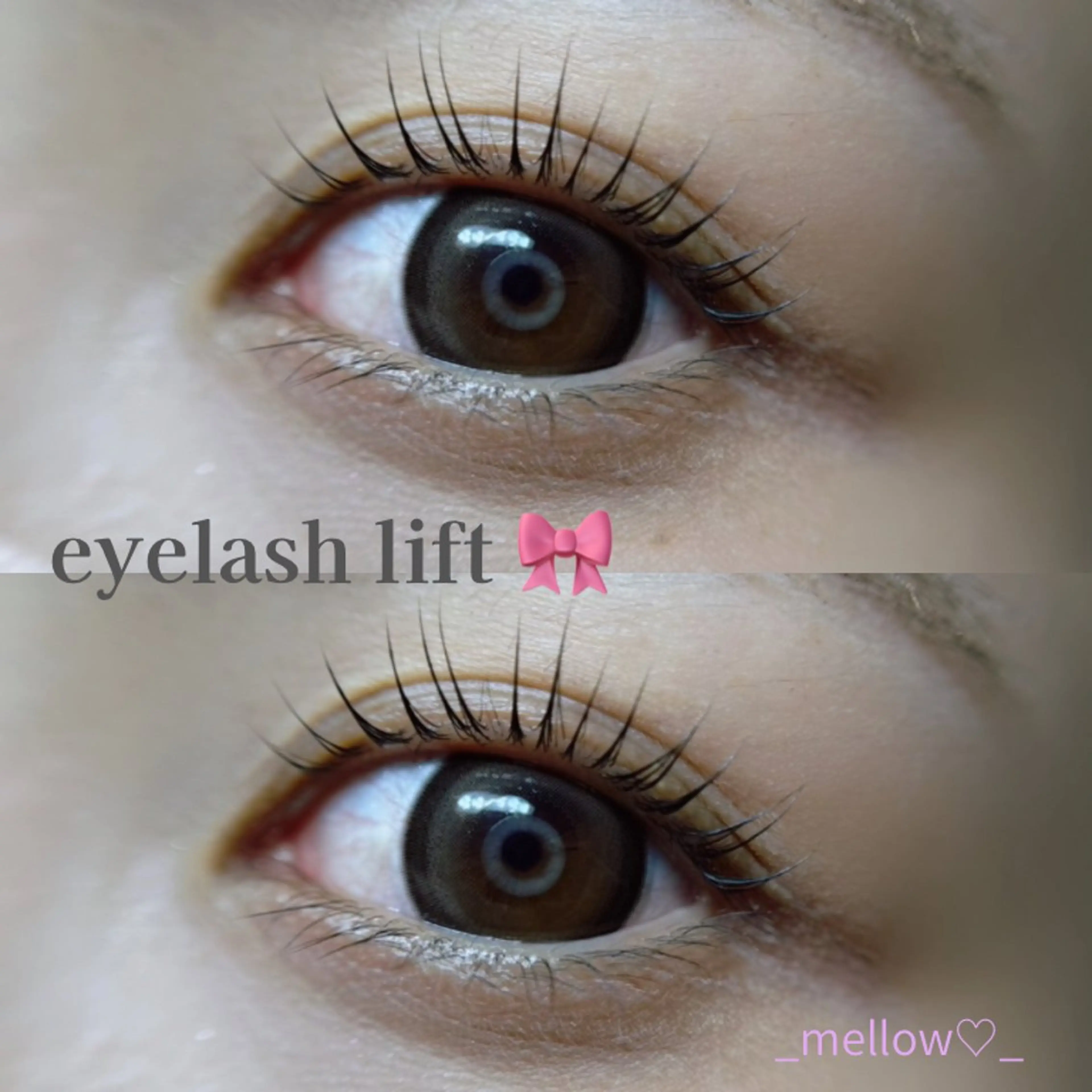 【Open記念価格】ぱっちり垢抜け♡ラッシュリフト（上のみ）の写真