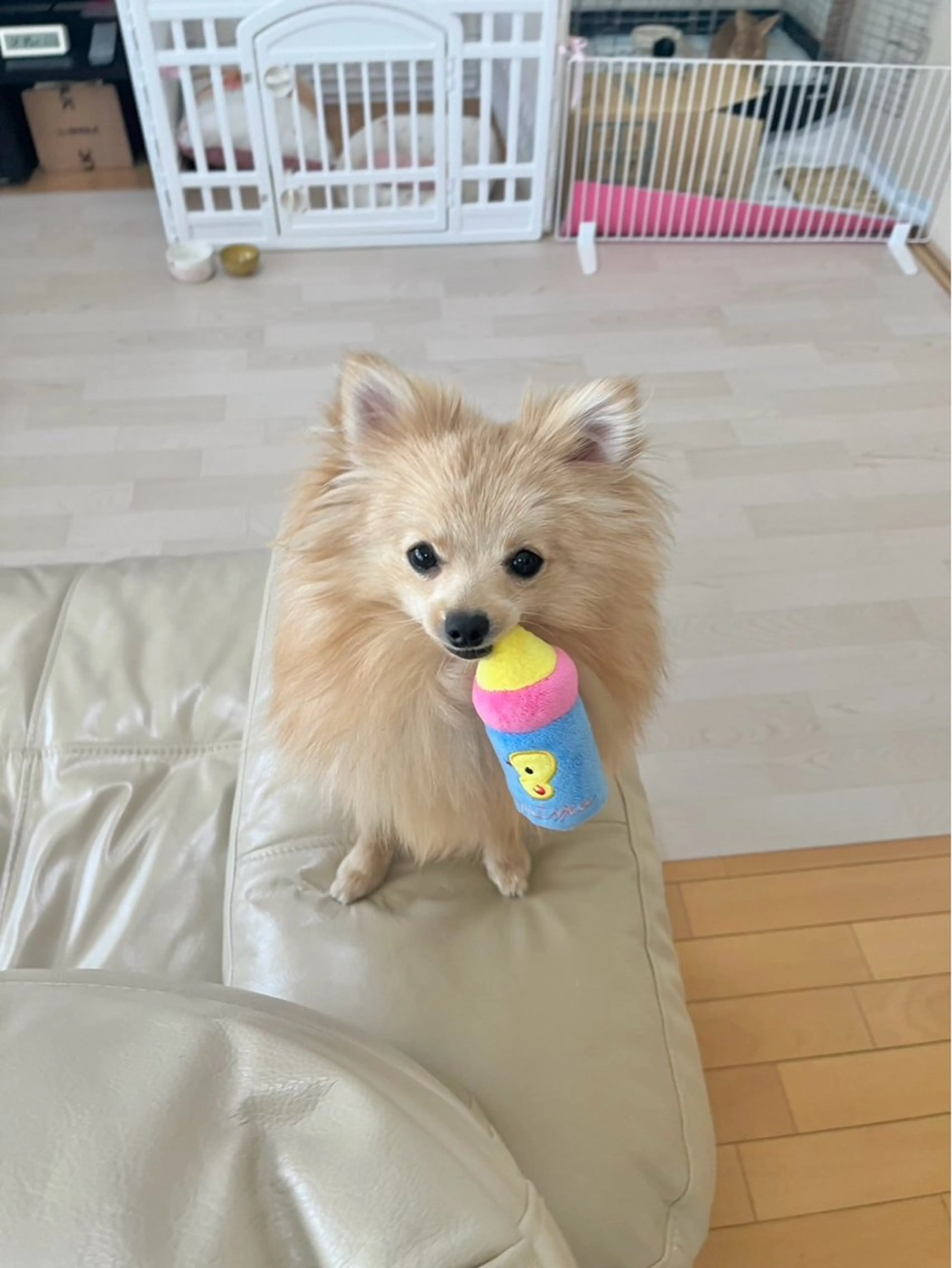 紙屋 隼人のヘアスタイル