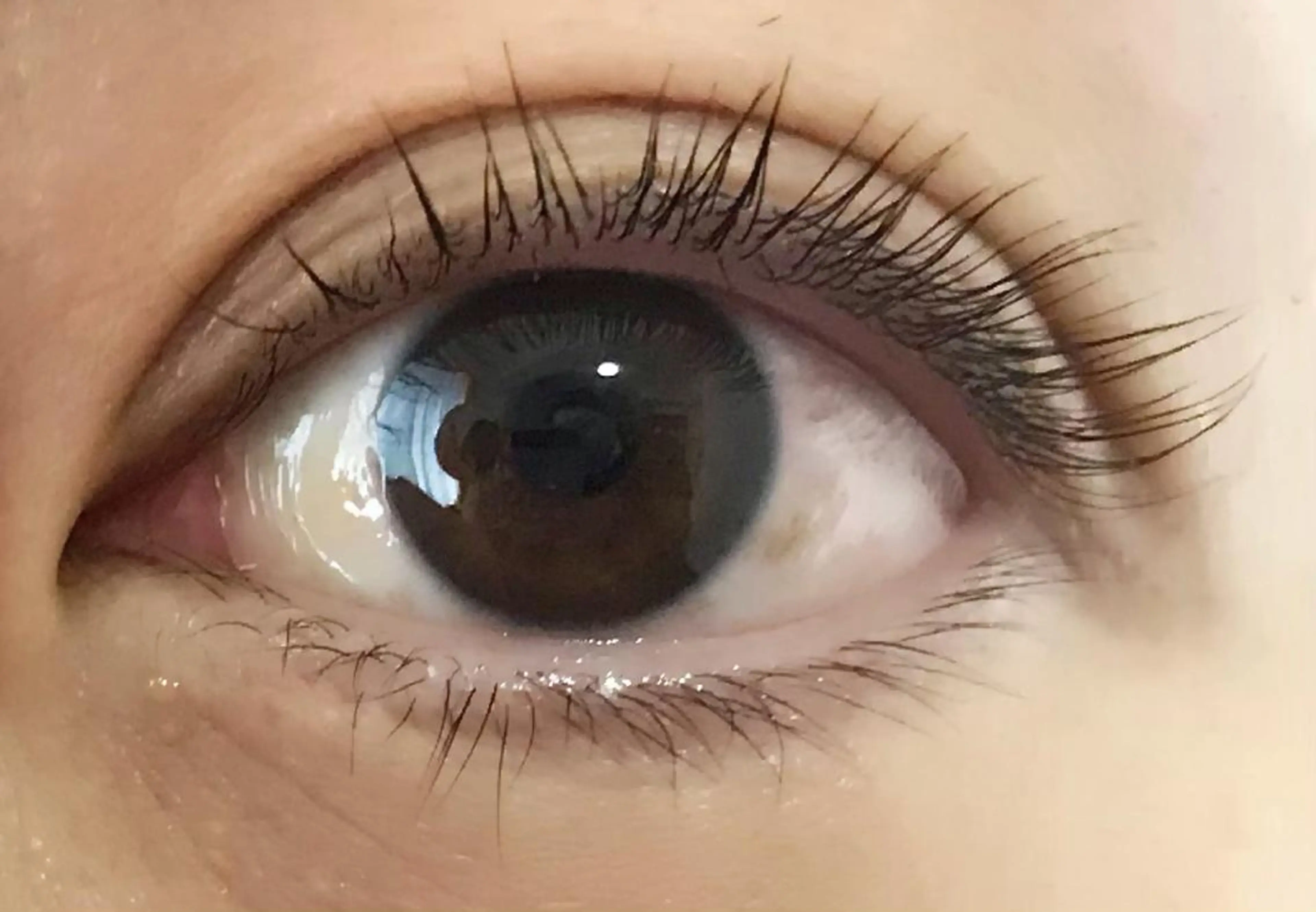 【新規】まつ毛パーマの写真