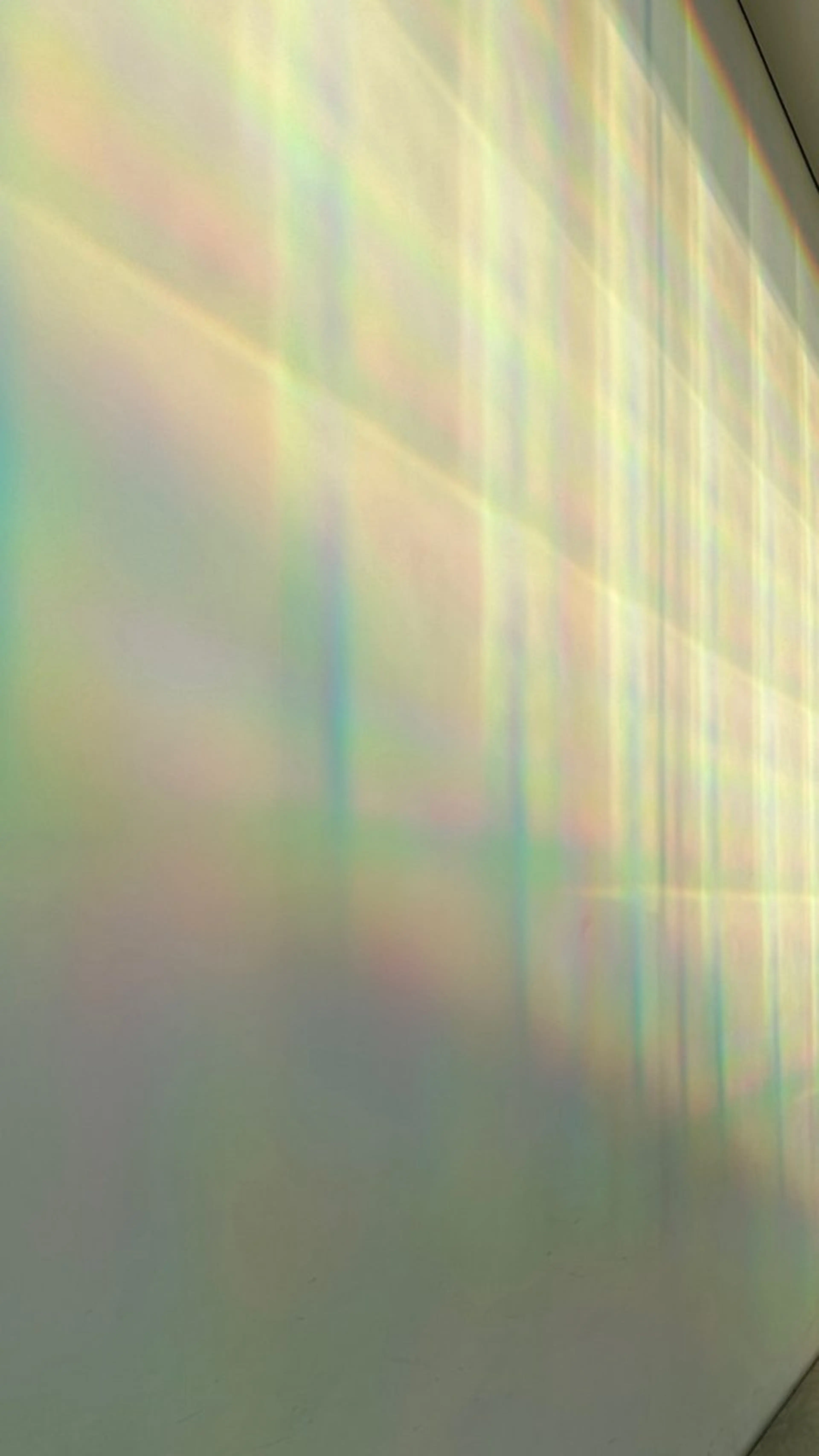 カラー パーマ 和田 あおいのヘアスタイル