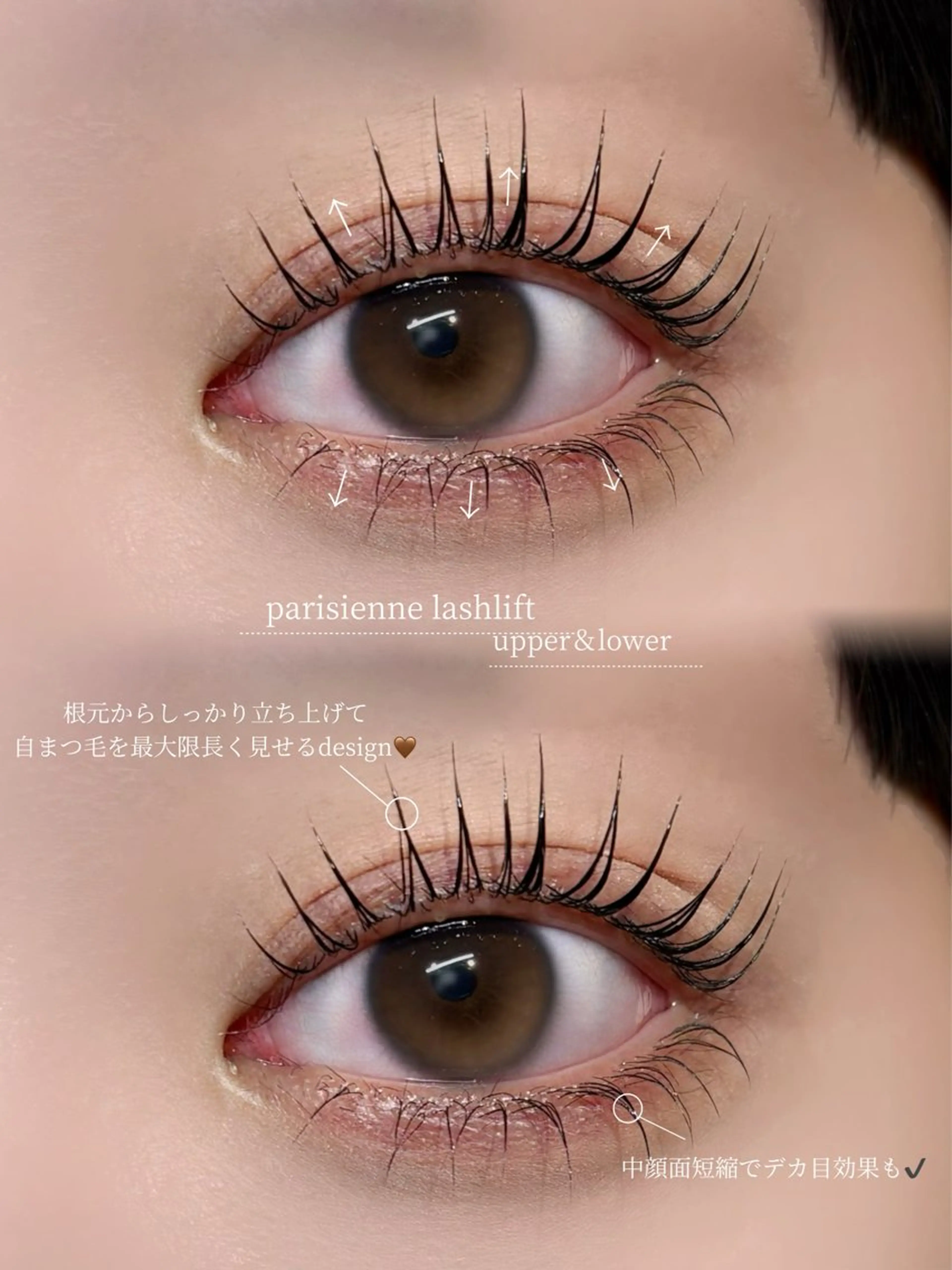 マツエク・マツパ 🐾Lily MOEKAのマツエク・マツパデザイン