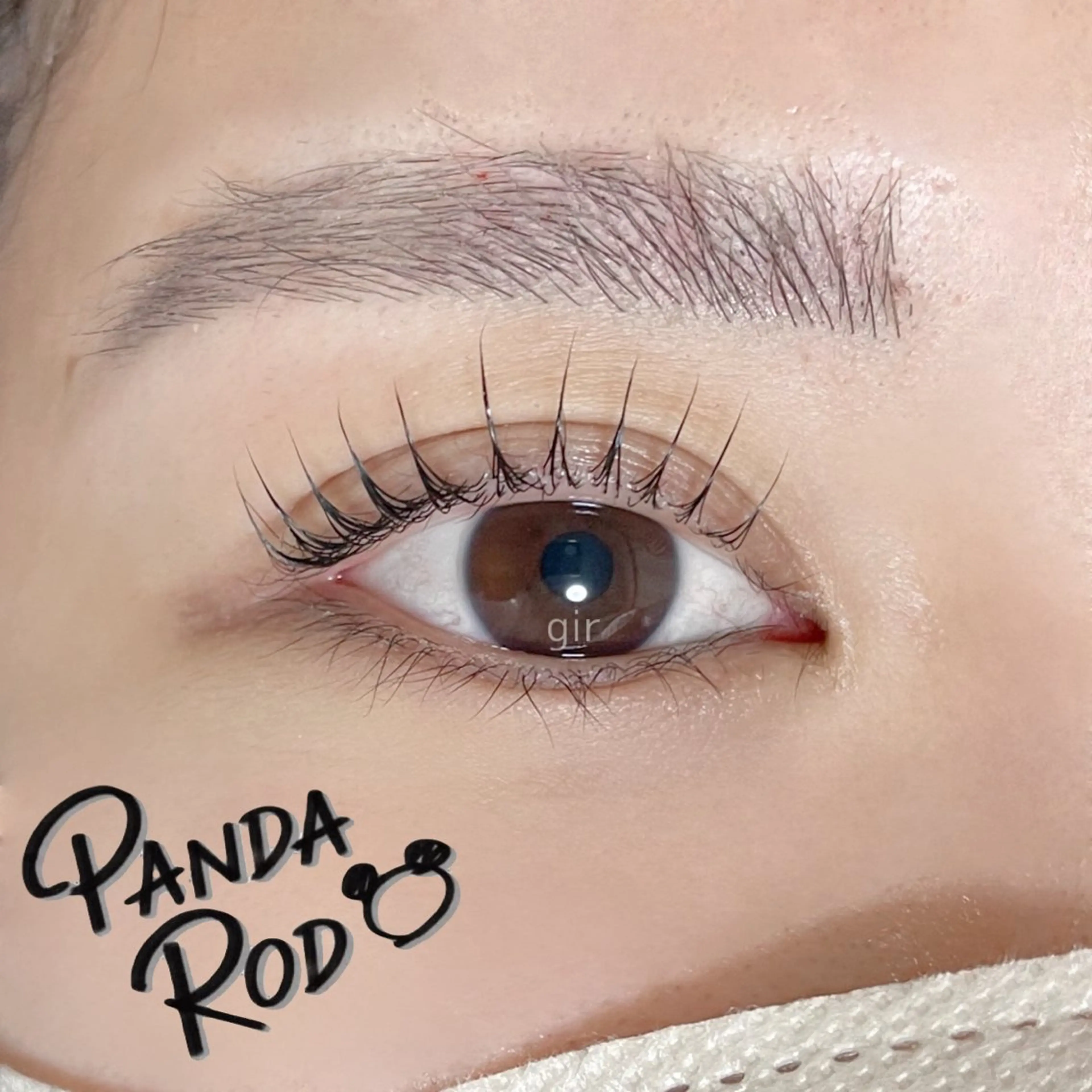 【人気セットメニュー】🦨ラッシュリフト&アイブロウWAX🦨の写真