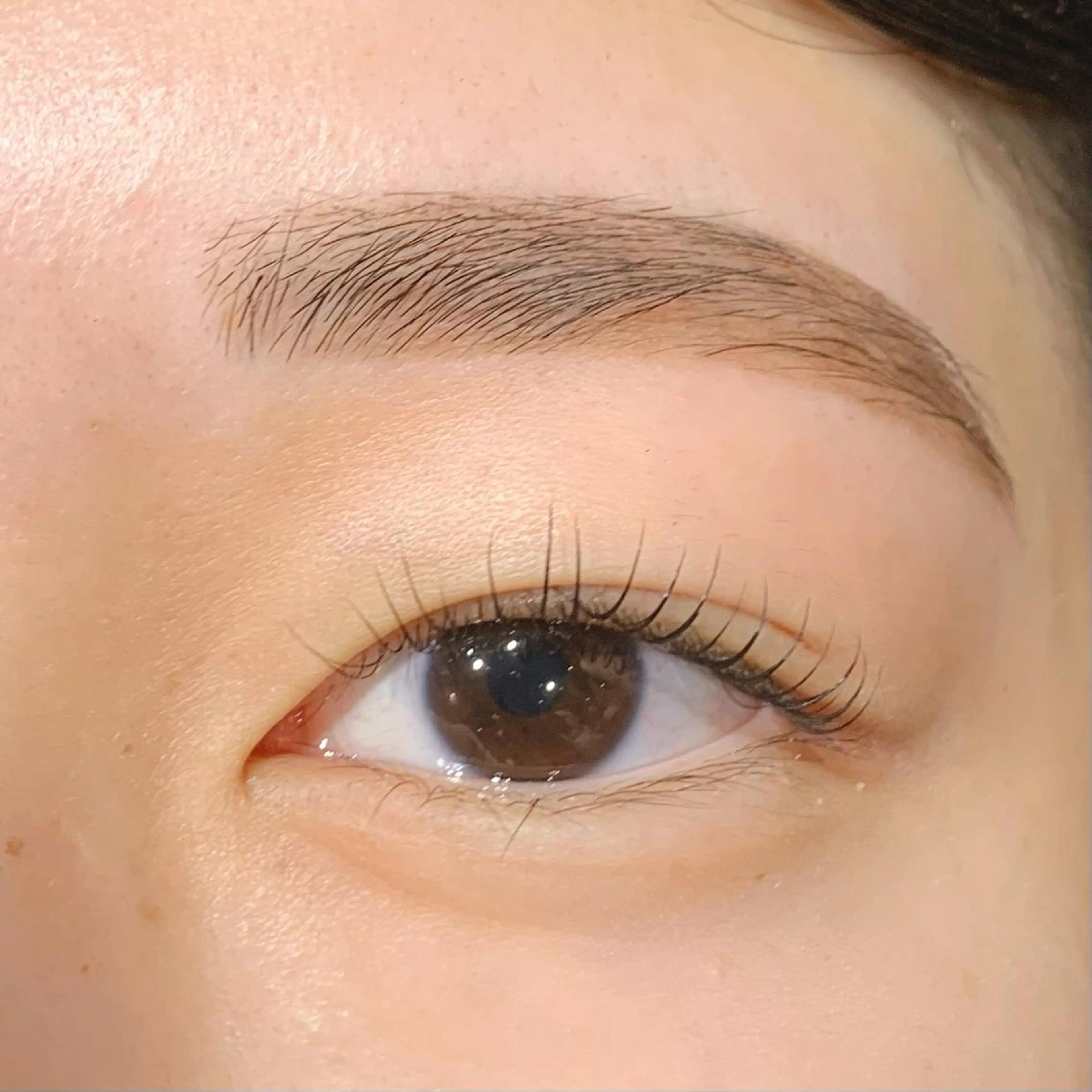 マツエク・マツパ アイブロウ alushe🌼 HIME🌼のマツエク・マツパデザイン