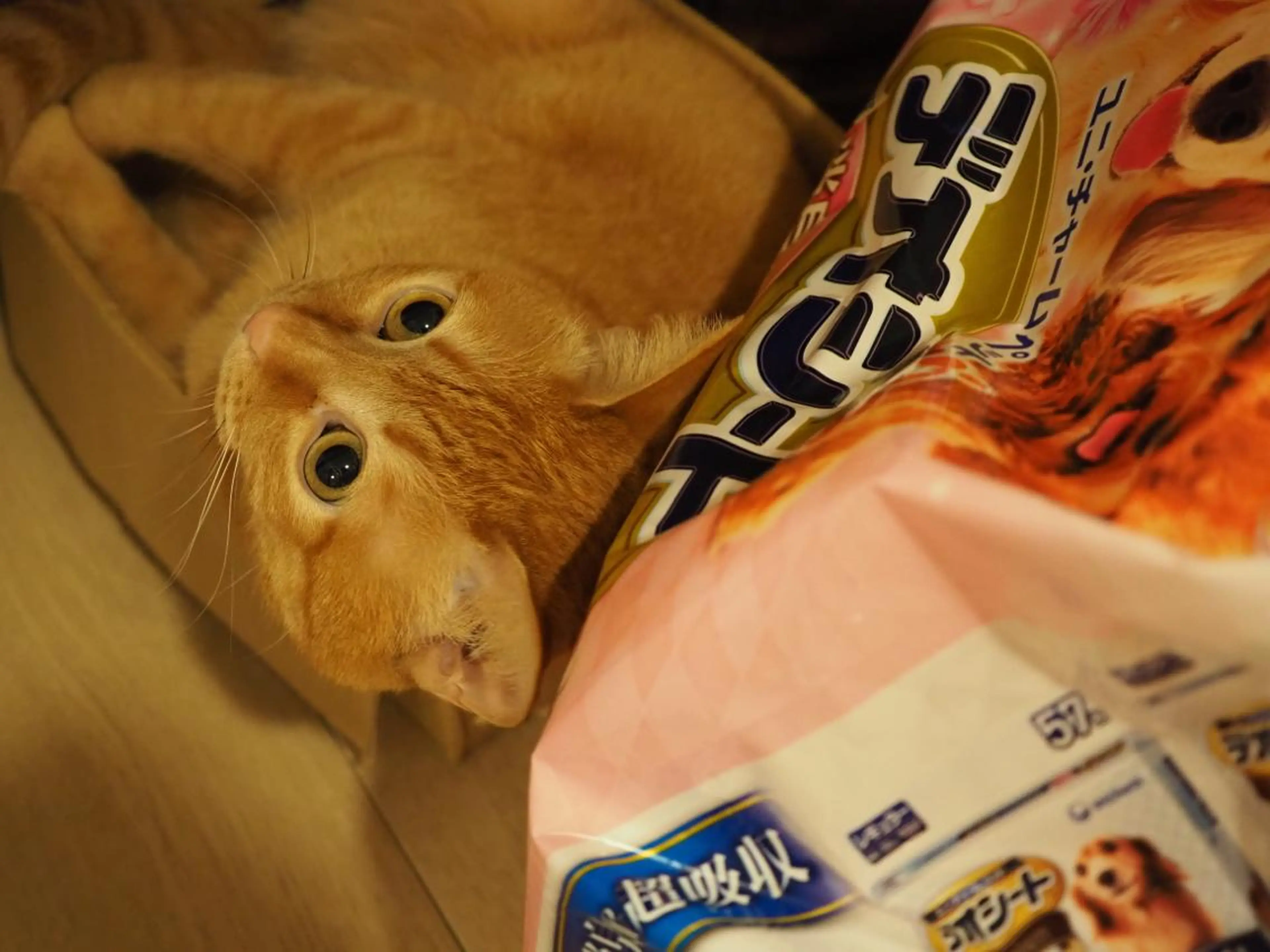 ネイル kiki nail &brow二子玉川の眉毛・アイブロウイメージ