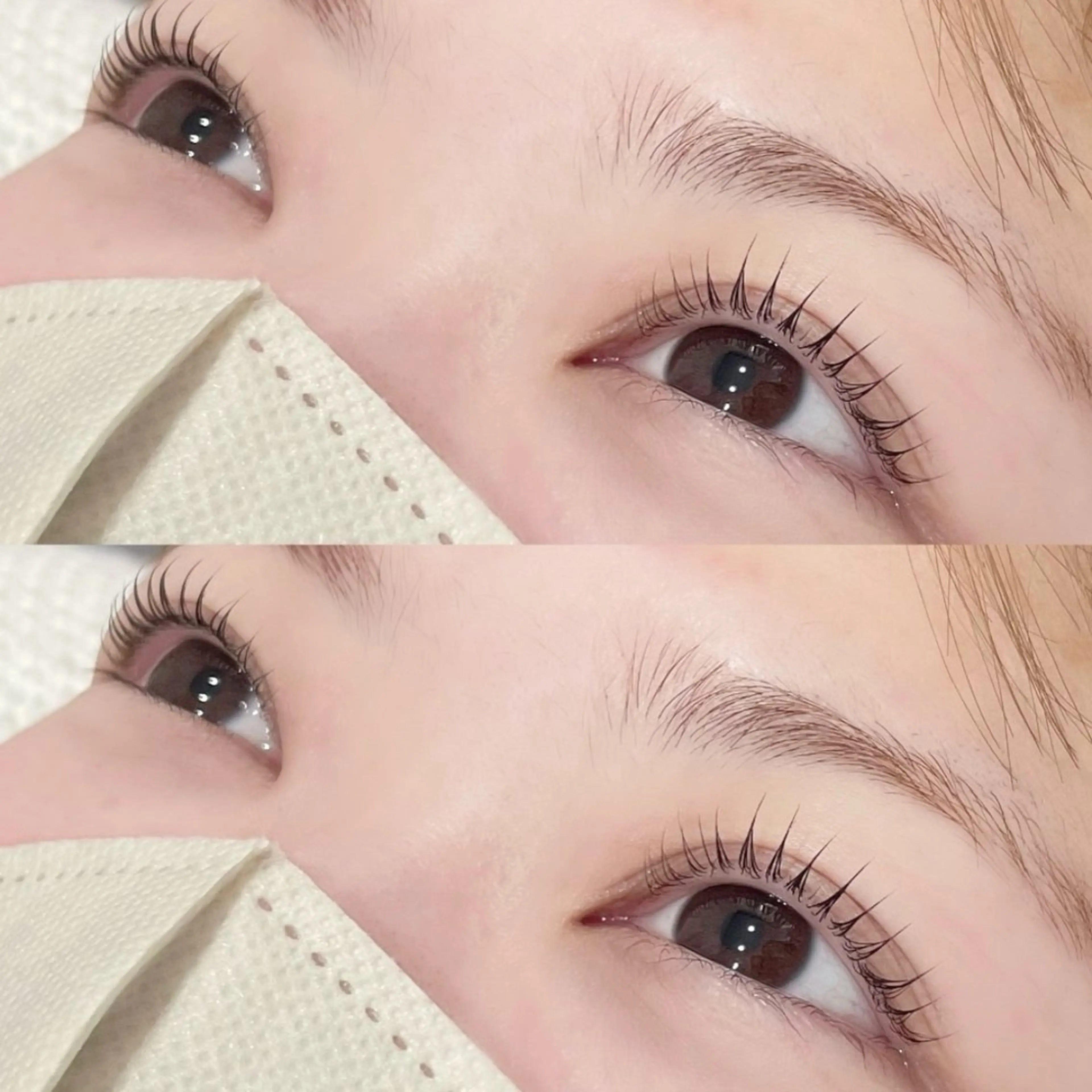 ✨上下セットcouponまつ毛パーマorパリジェンヌお選びいただけます✨の写真