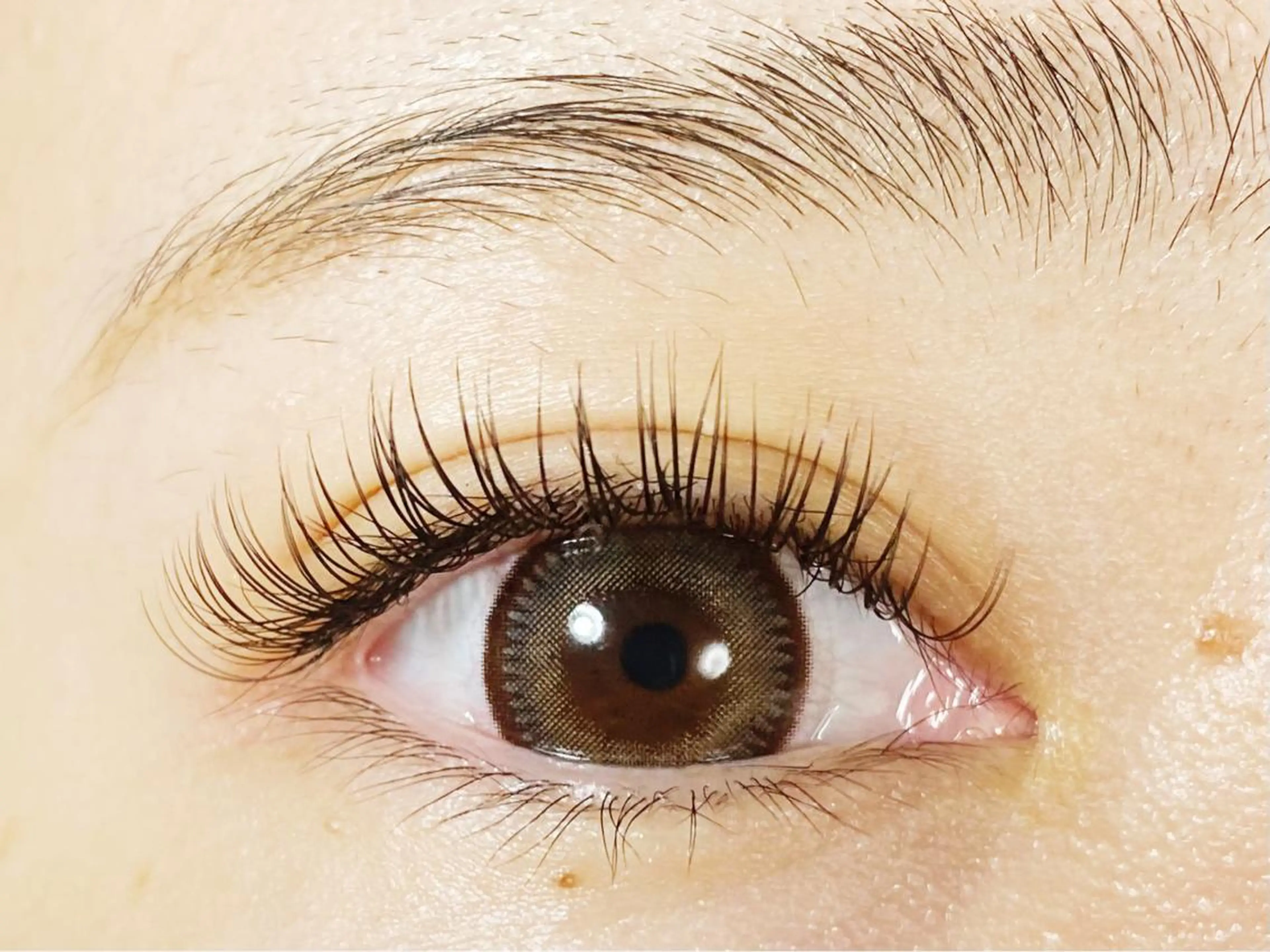 【新規】❤️持続期間1.5倍❤️ バラつかずモチがいいと好評❤️2Dエクステ 100本（オフ込み）　5600円★の写真