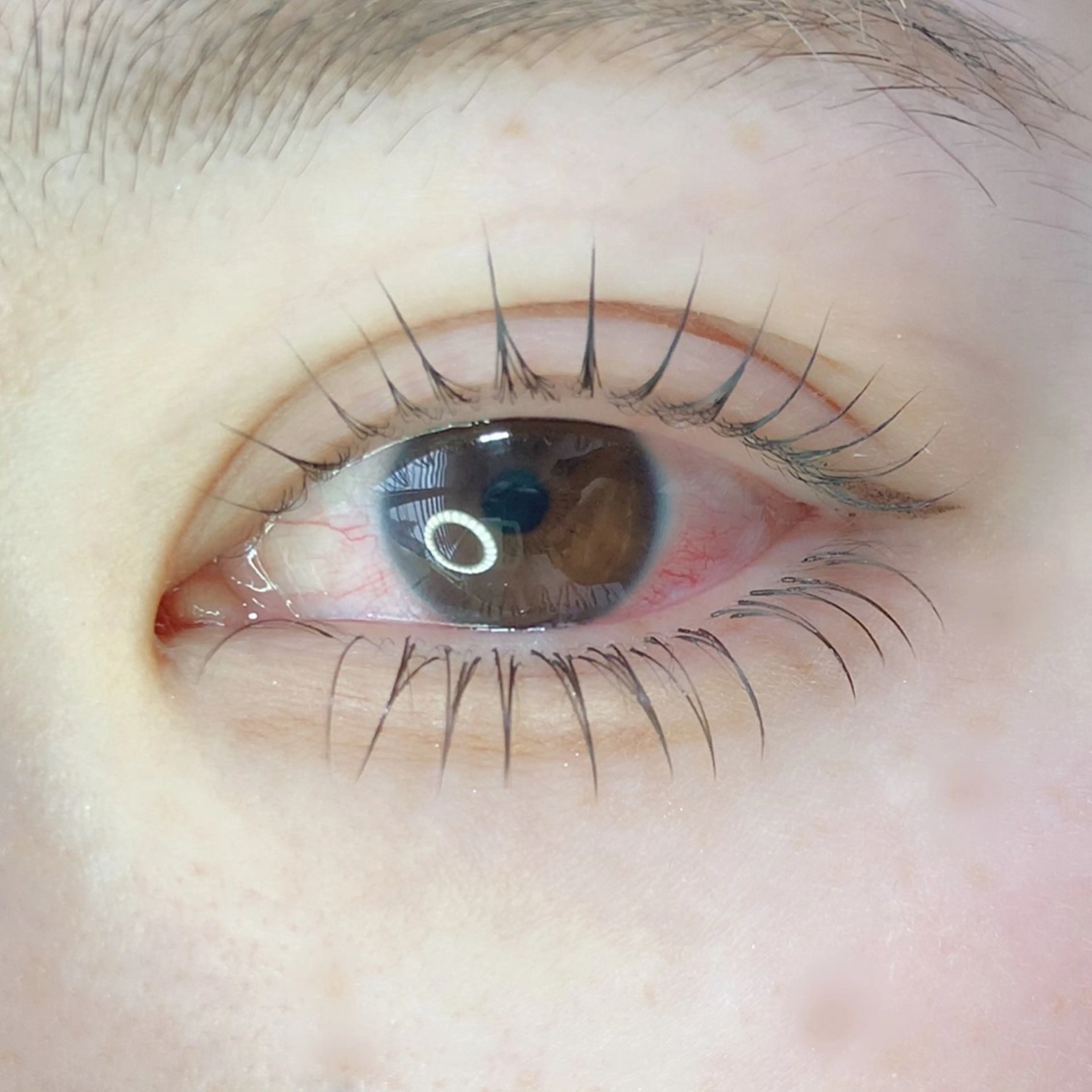 💟セットでお得💟パリジェンヌラッシュリフト✖️下エク40本の写真