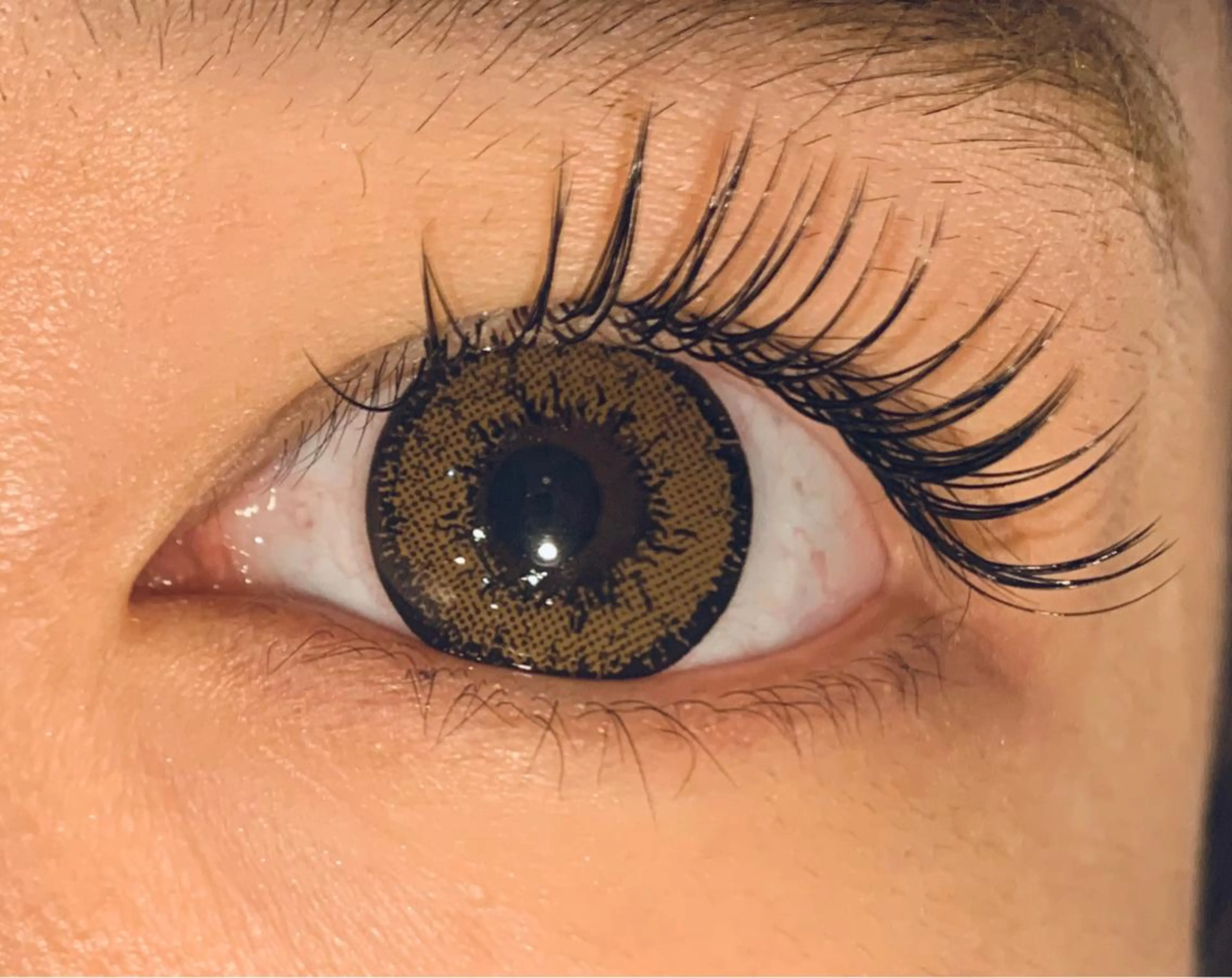 マツエク・マツパ セーブル Le'a first 【レアファースト】のマツエク・マツパデザイン