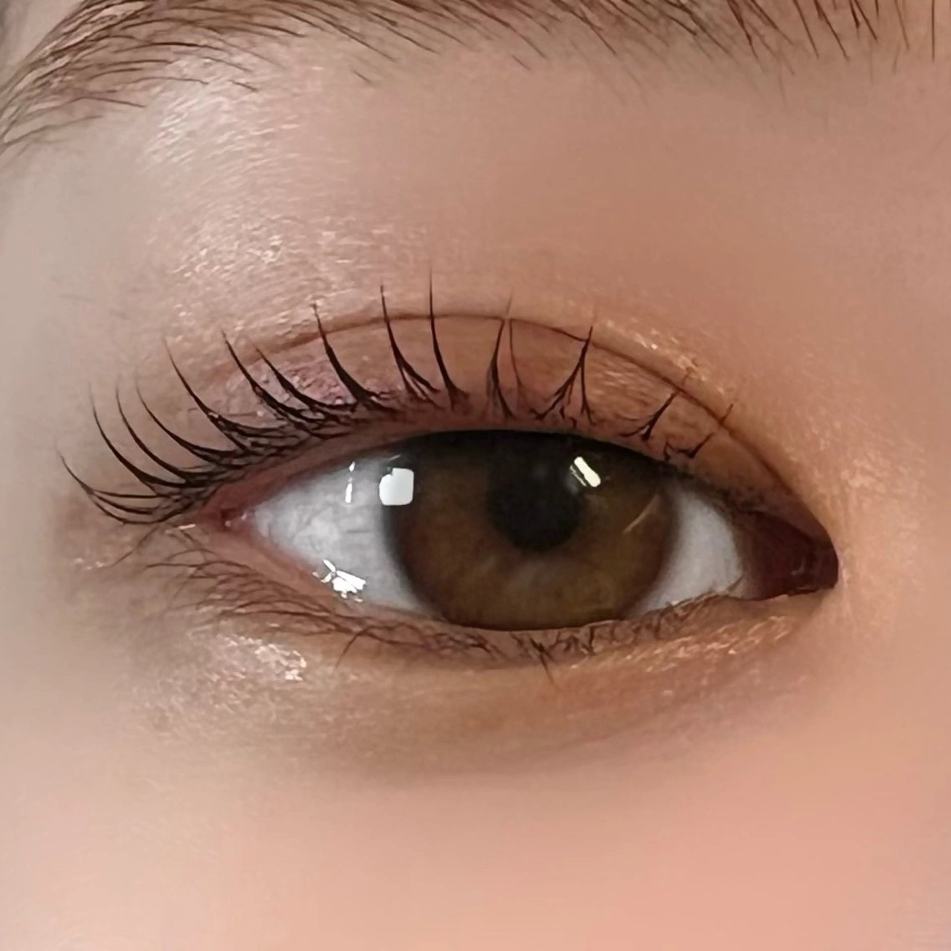 マツエク・マツパ マツパ 垢抜け眉WAX専門 ちゅるんまつげ|鎌倉の眉毛・アイブロウイメージ