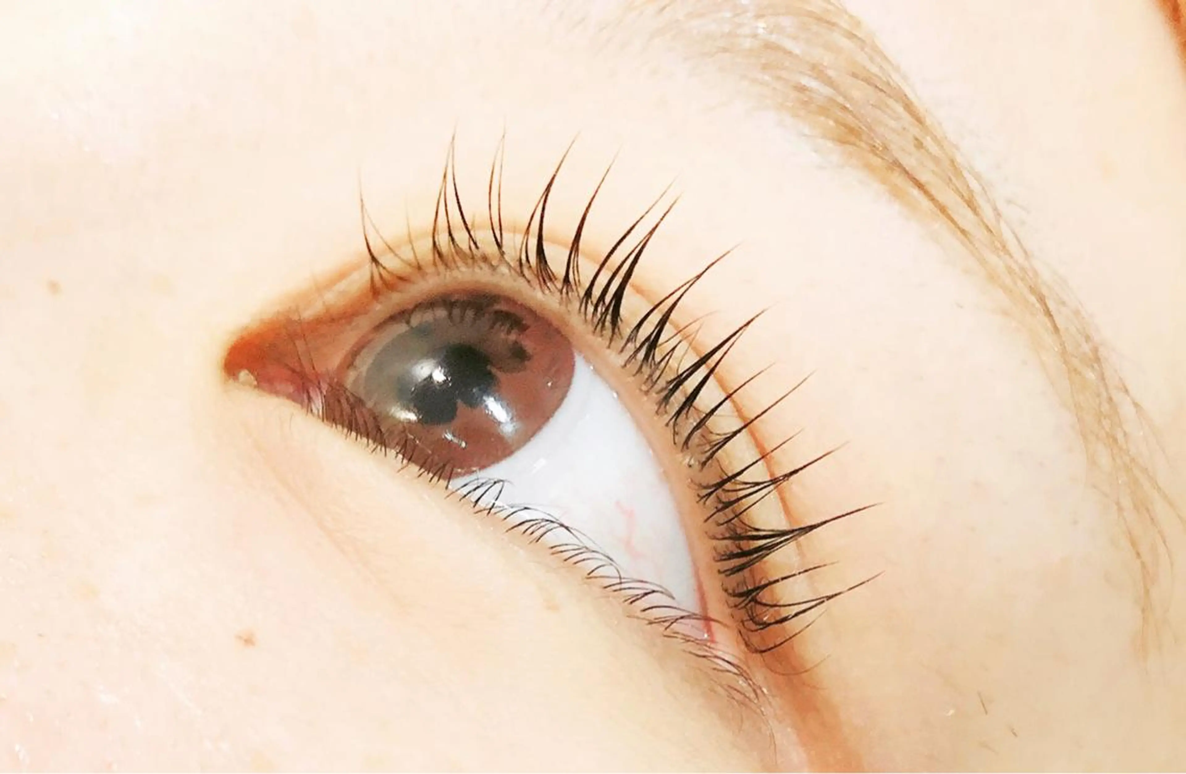 マツエク・マツパ マツパ プライベートサロン ココルのマツエク・マツパデザイン