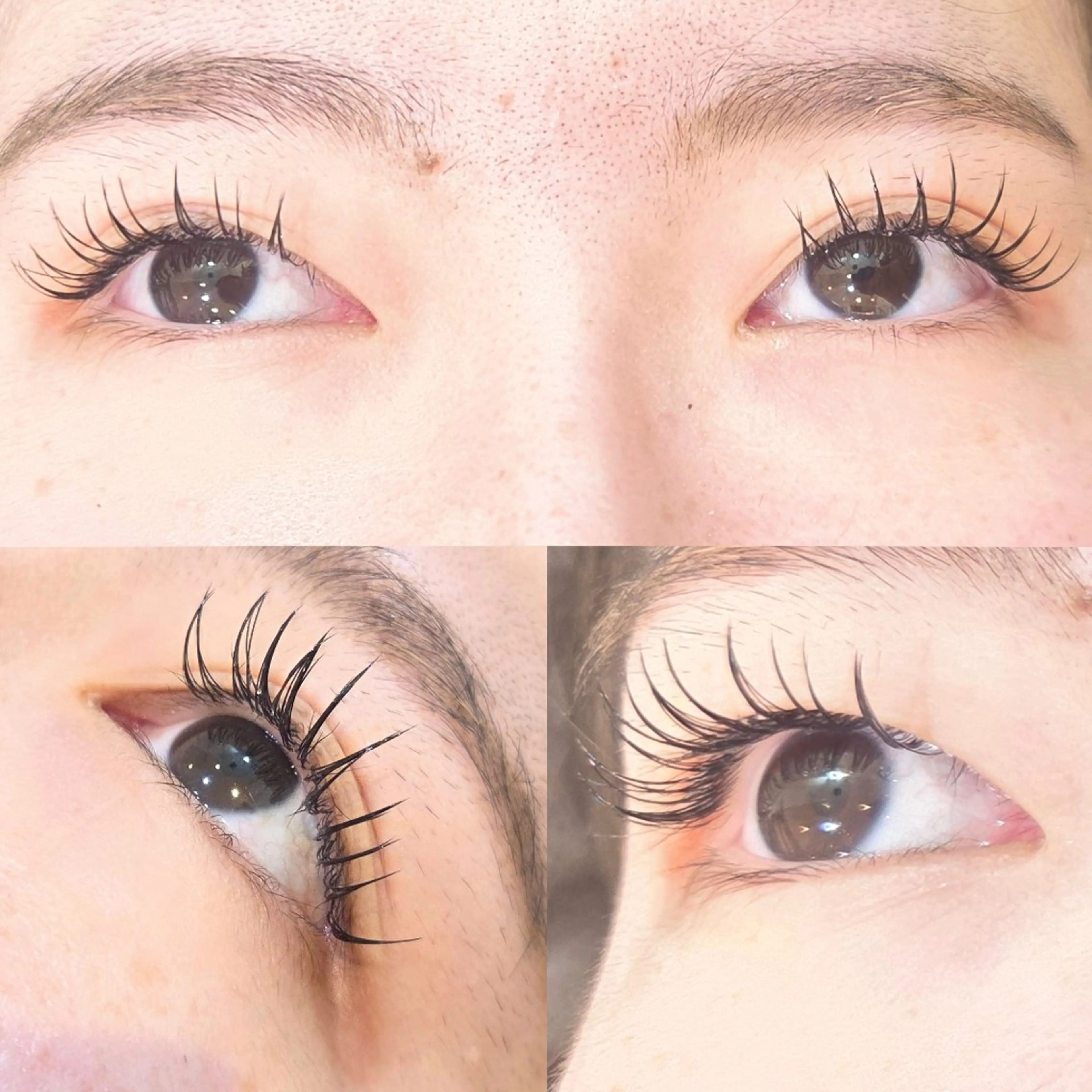 ⭐マツエク⭐【100本】/オフ無し/フラットラッシュの写真