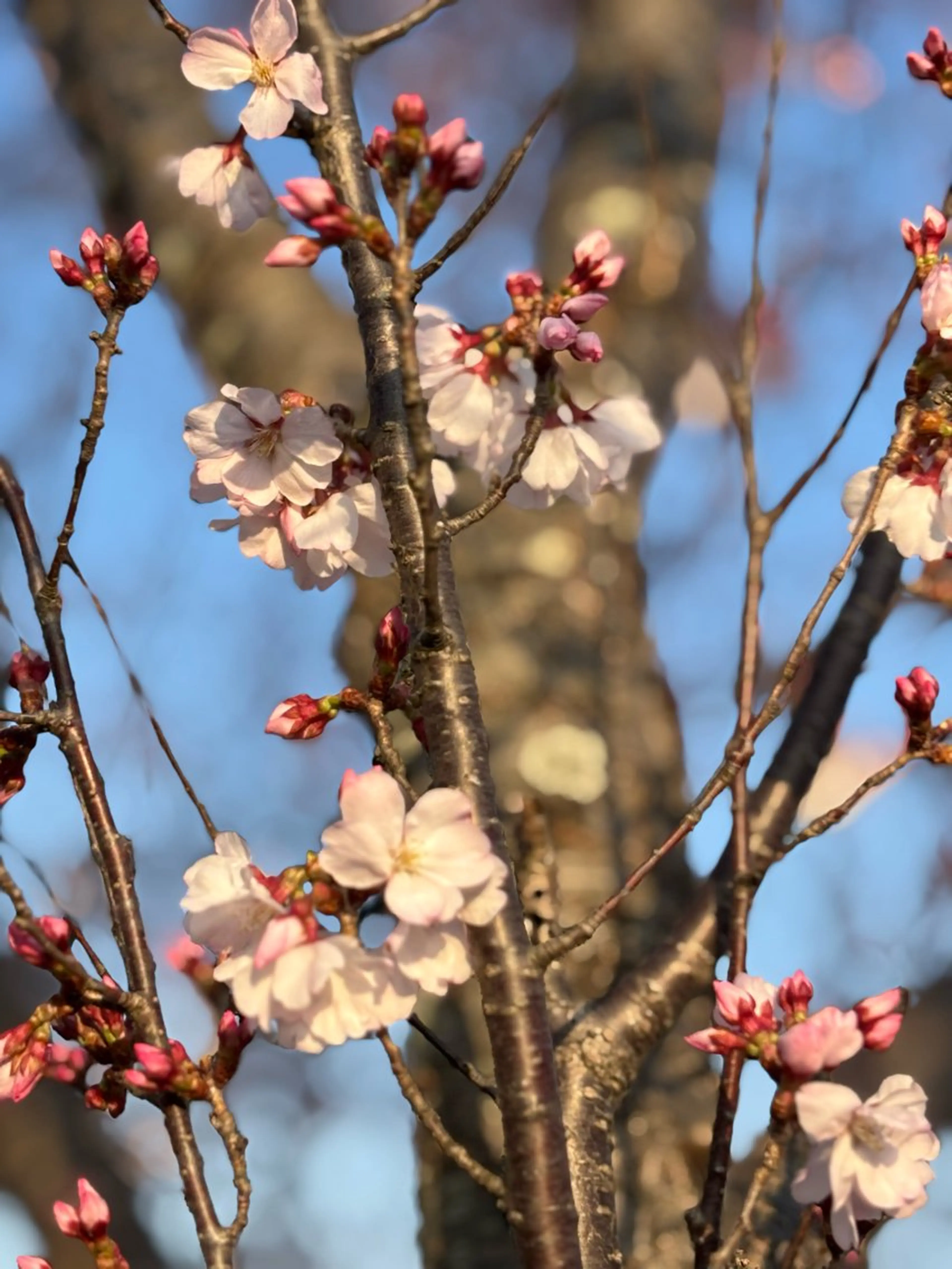 メナードフェイシャルサロン大曽根店所属・長友 一代のエステ・リラクイメージ