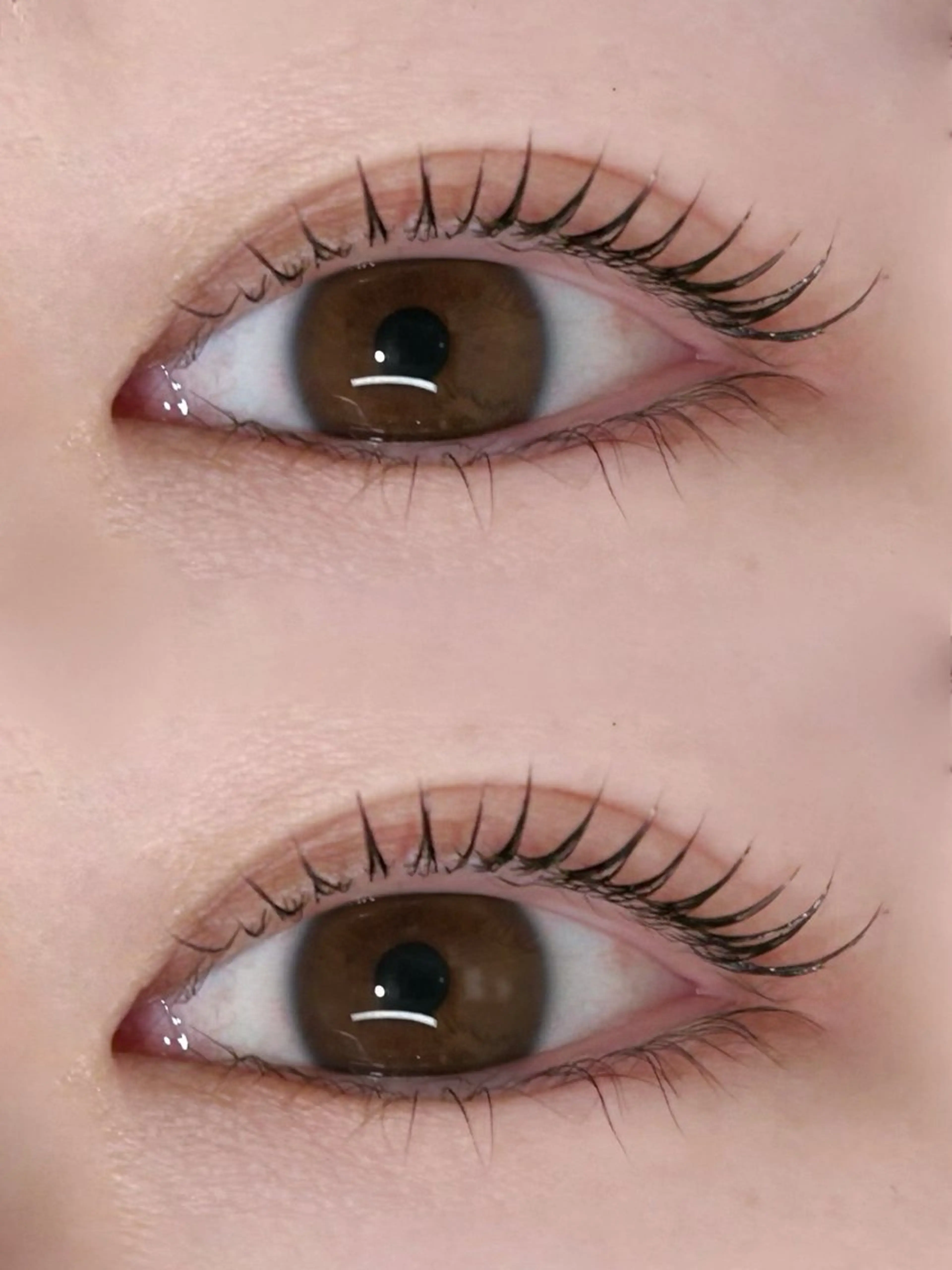 【当日限定】まつ毛パーマの写真