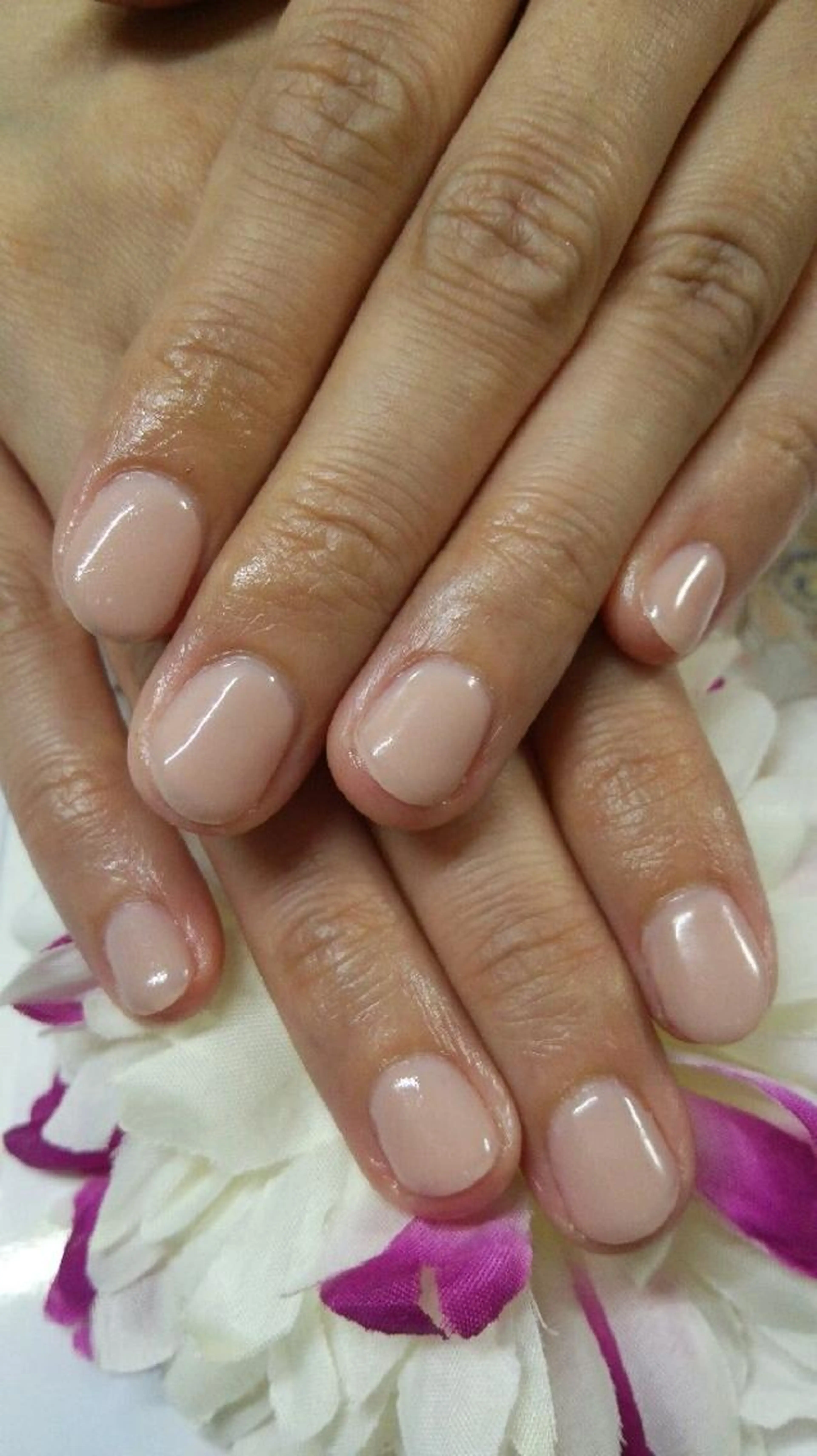 ワンカラーネイル(アート無し)の写真