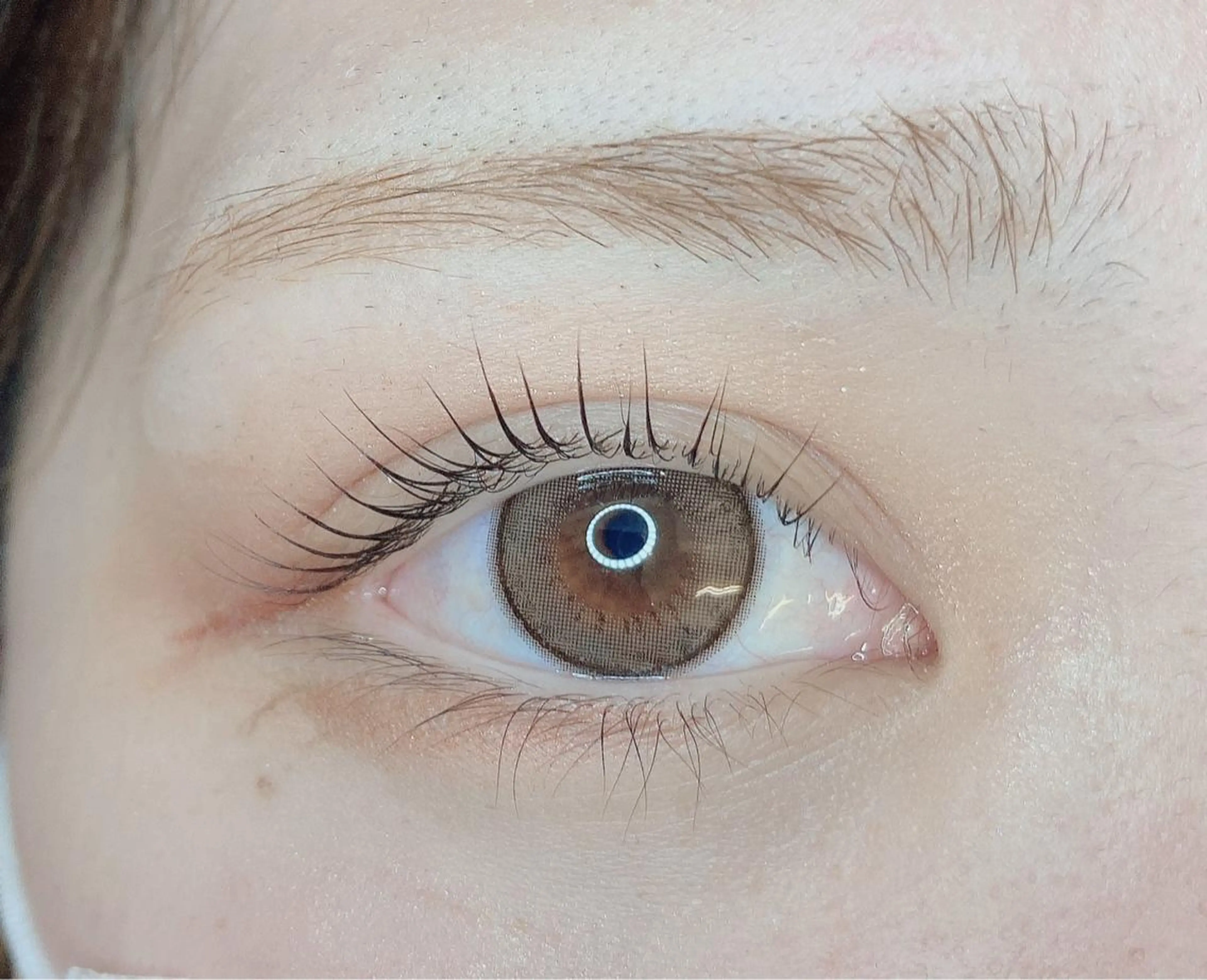 マツエク・マツパ TIARA池袋西口店 店長YASUKA💐のマツエク・マツパデザイン