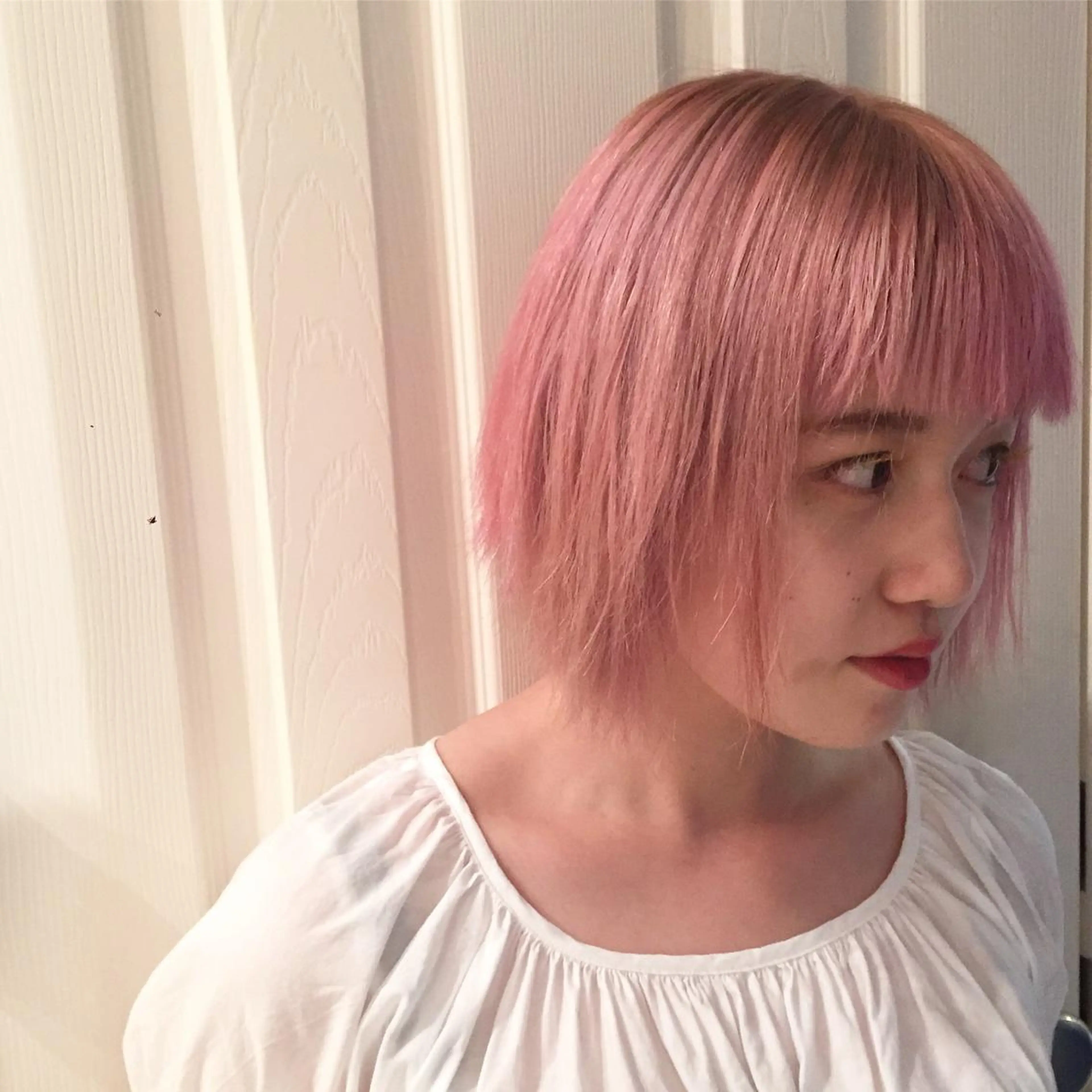 ショート カラー 🐝 hachi🐝のヘアスタイル