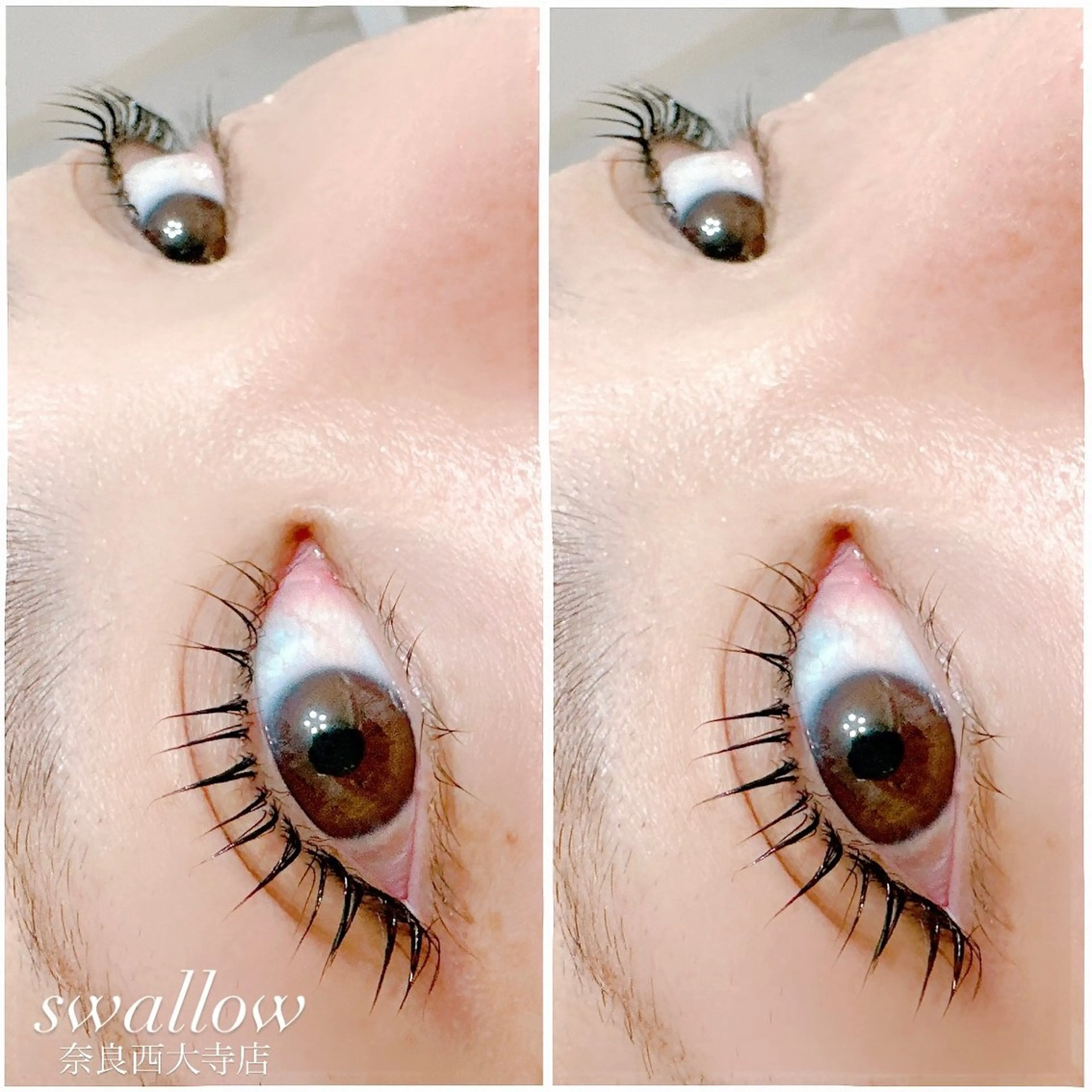 まつ毛パーマ&まつげ全体トリートメント3種類♪ 30分 3800円の写真