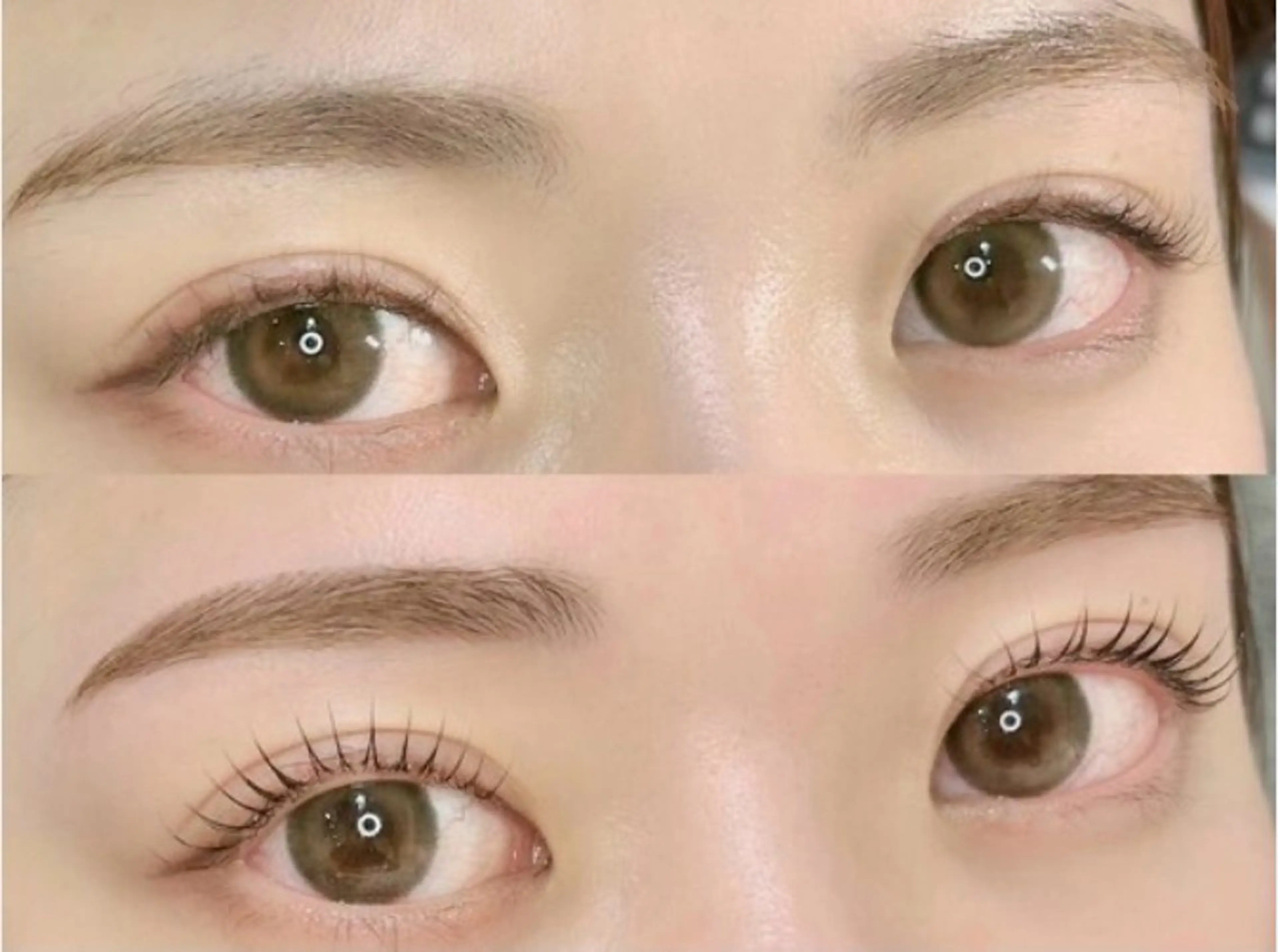 🌺 5月18日​〜​5月31日限定🌺  ワックス&間引き&まつげパーマorパリジェンヌの写真