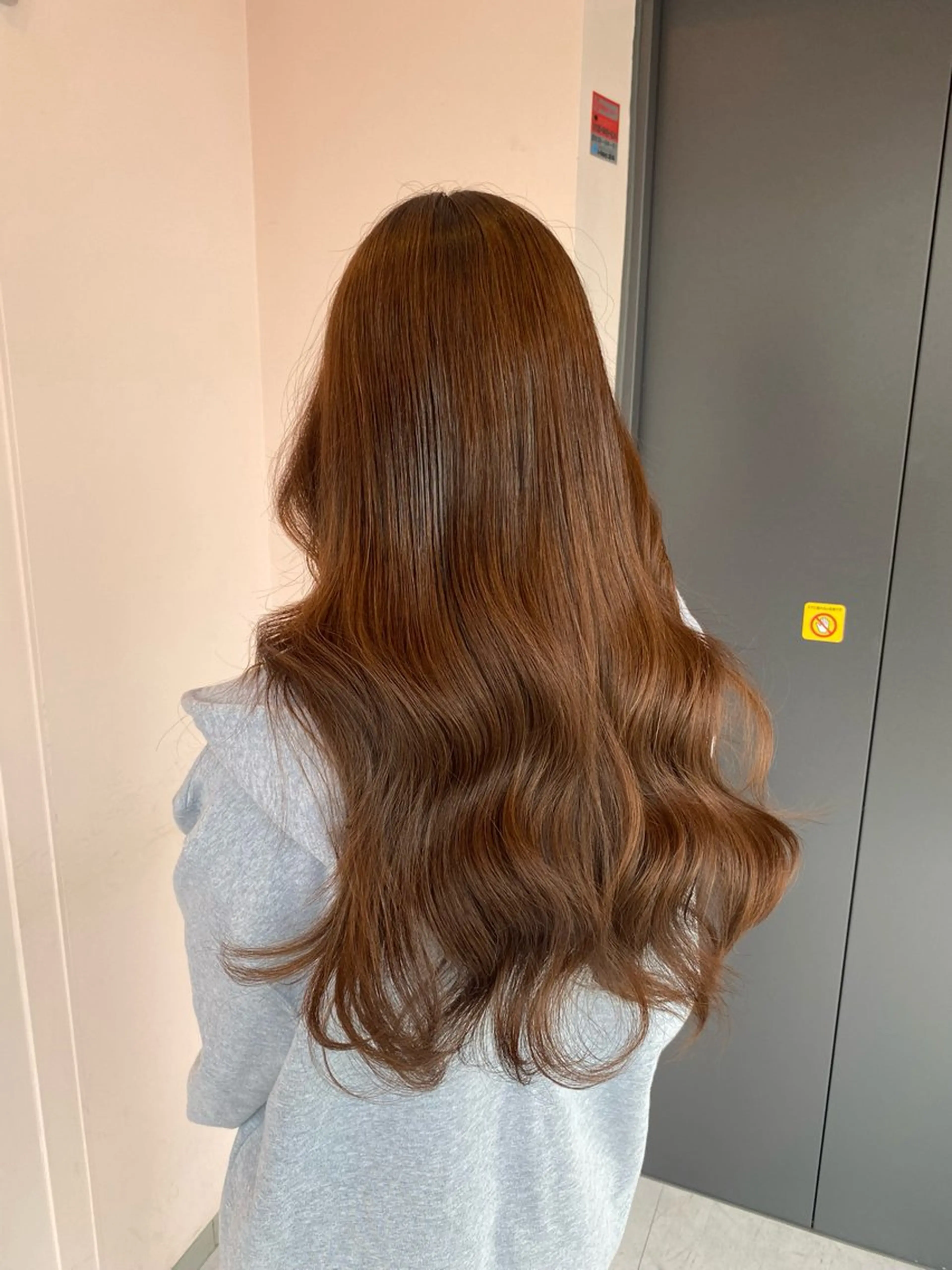 カラー ブリーチ ブラウンカラー ダブルカラー マロンブラウン ブリーチなしカラー 楓🦋韓国系レイヤー / 透明感カラー🤍のヘアスタイル