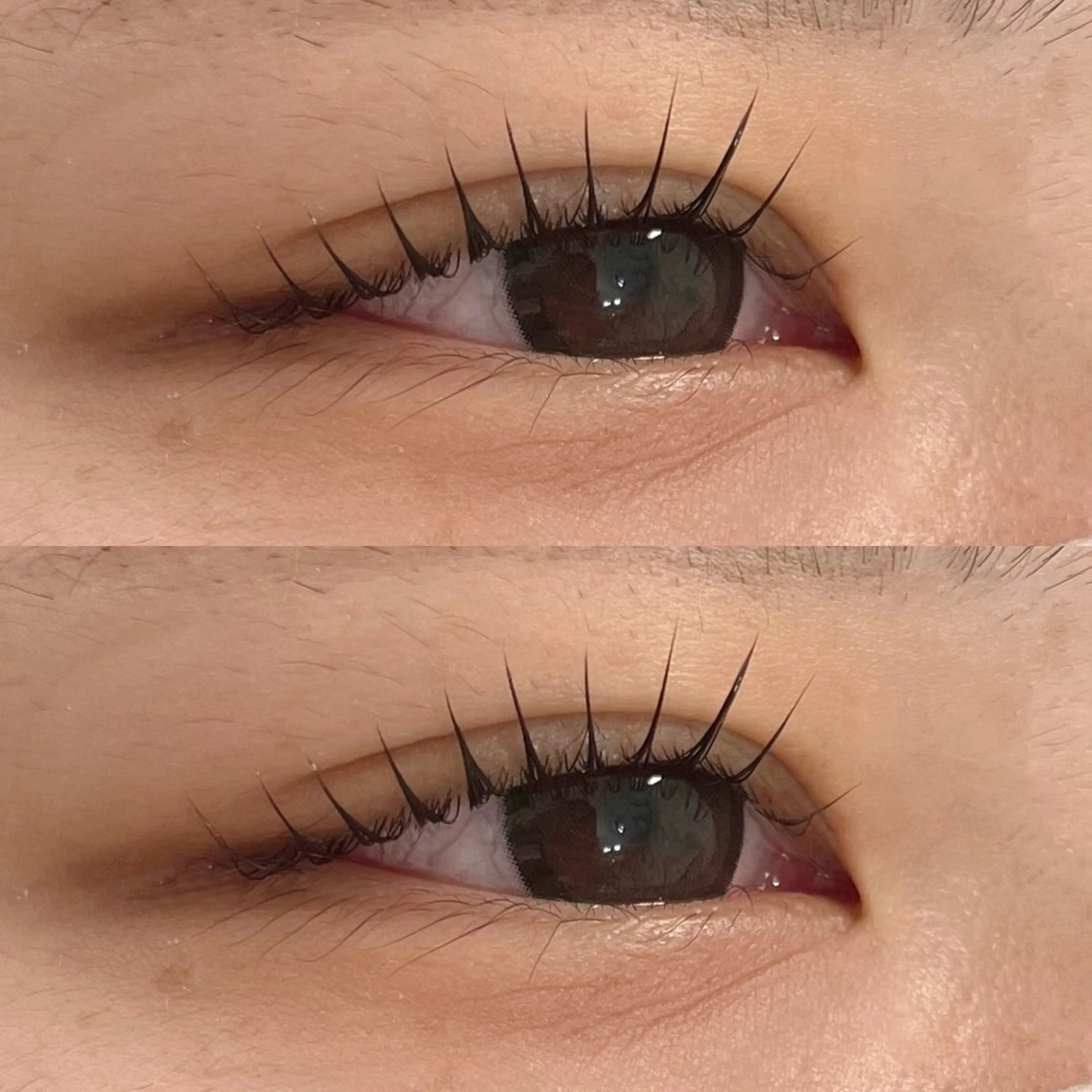 日時指定クーポン♡2STEPケラチントリートメント付ラッシュリフトorパリジェンヌラッシュリフト𓆩❤︎𓆪の写真