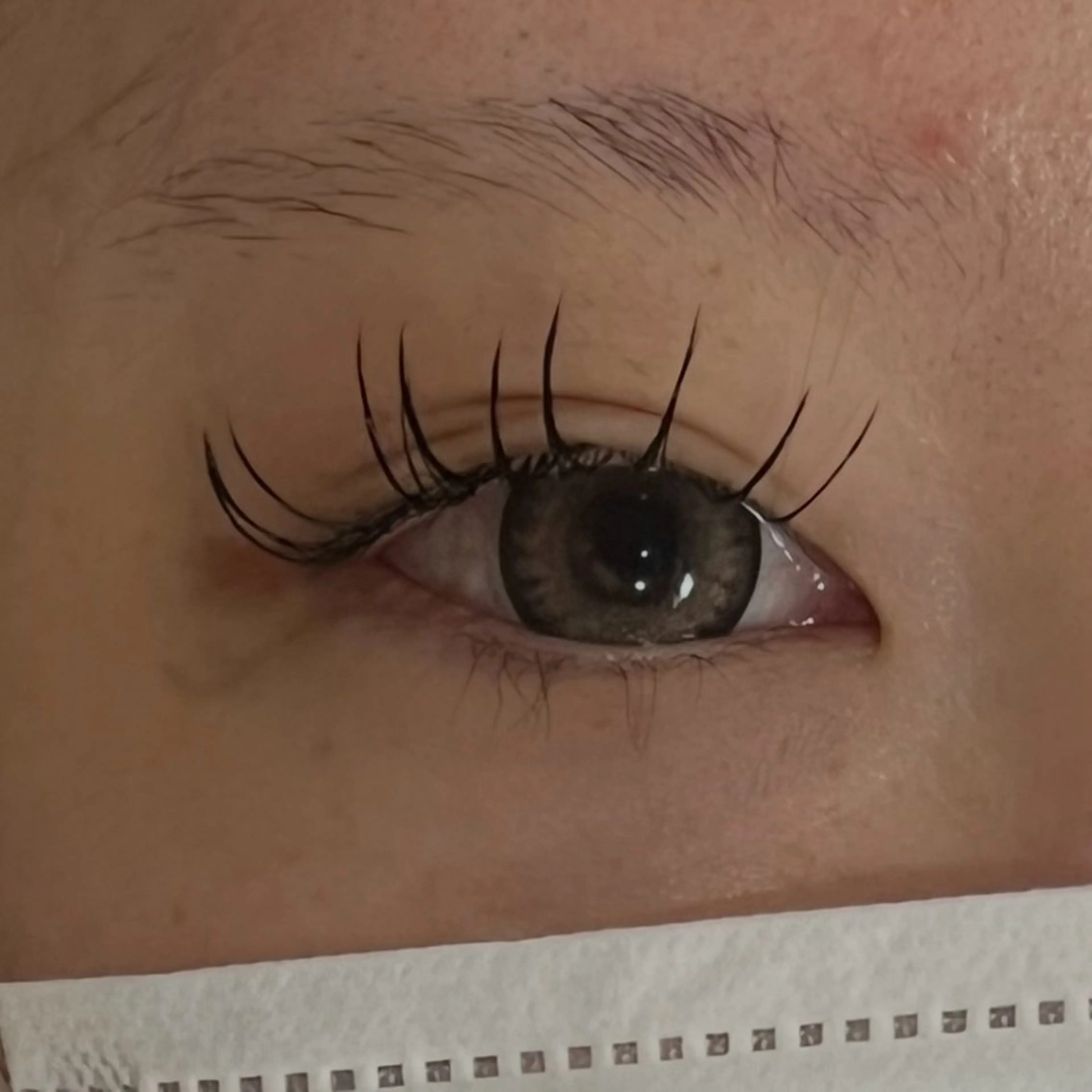 マツエク・マツパ ‎🤍eye‎🤍 miuのマツエク・マツパデザイン
