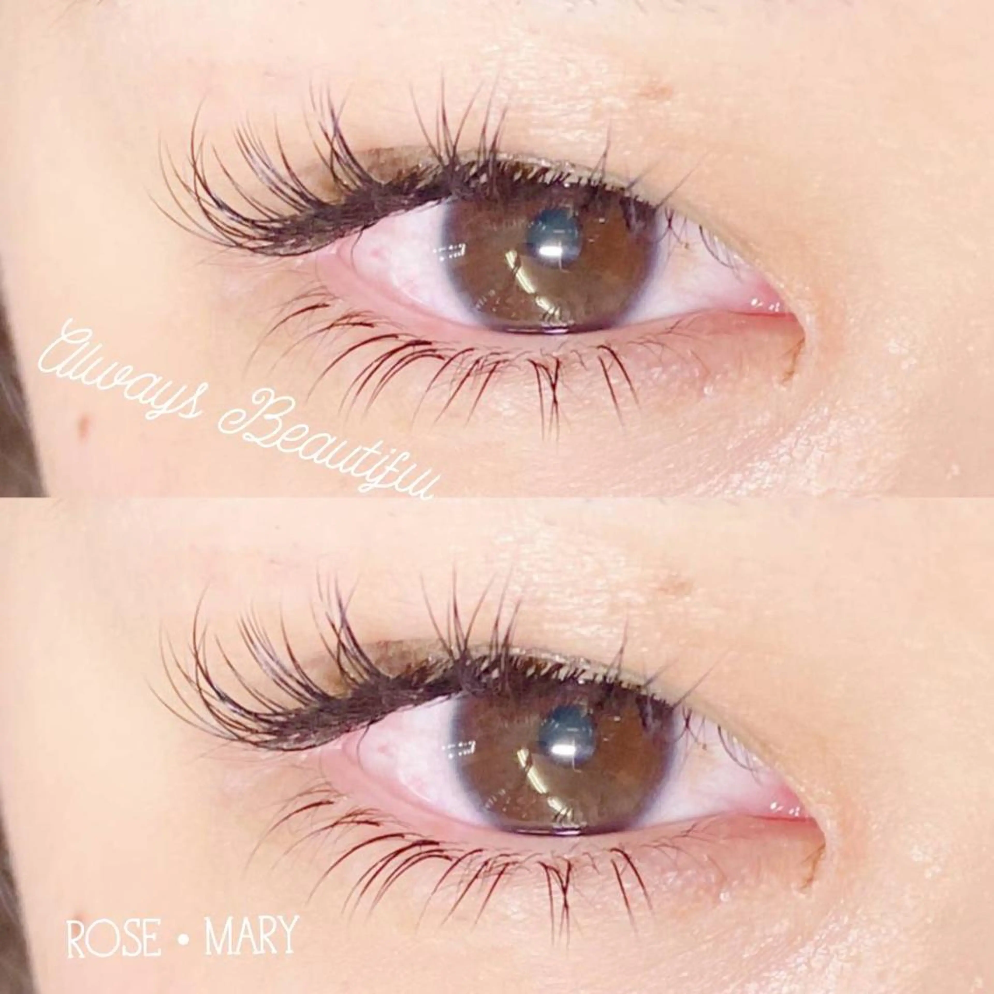 マツエク・マツパ Cカール フラットラッシュ マツエク ROSE MARY 大竹のマツエク・マツパデザイン