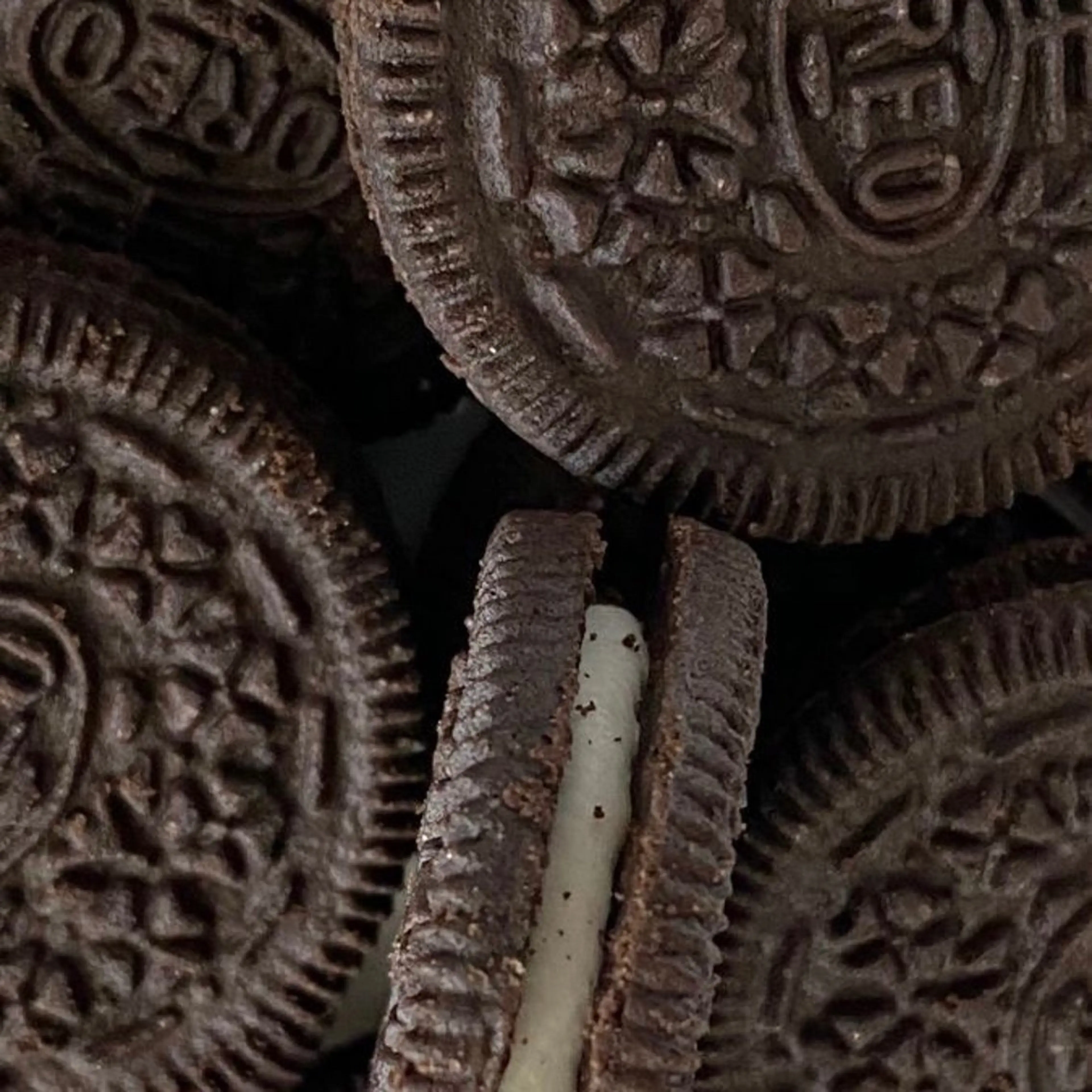 shiho .のヘアスタイル