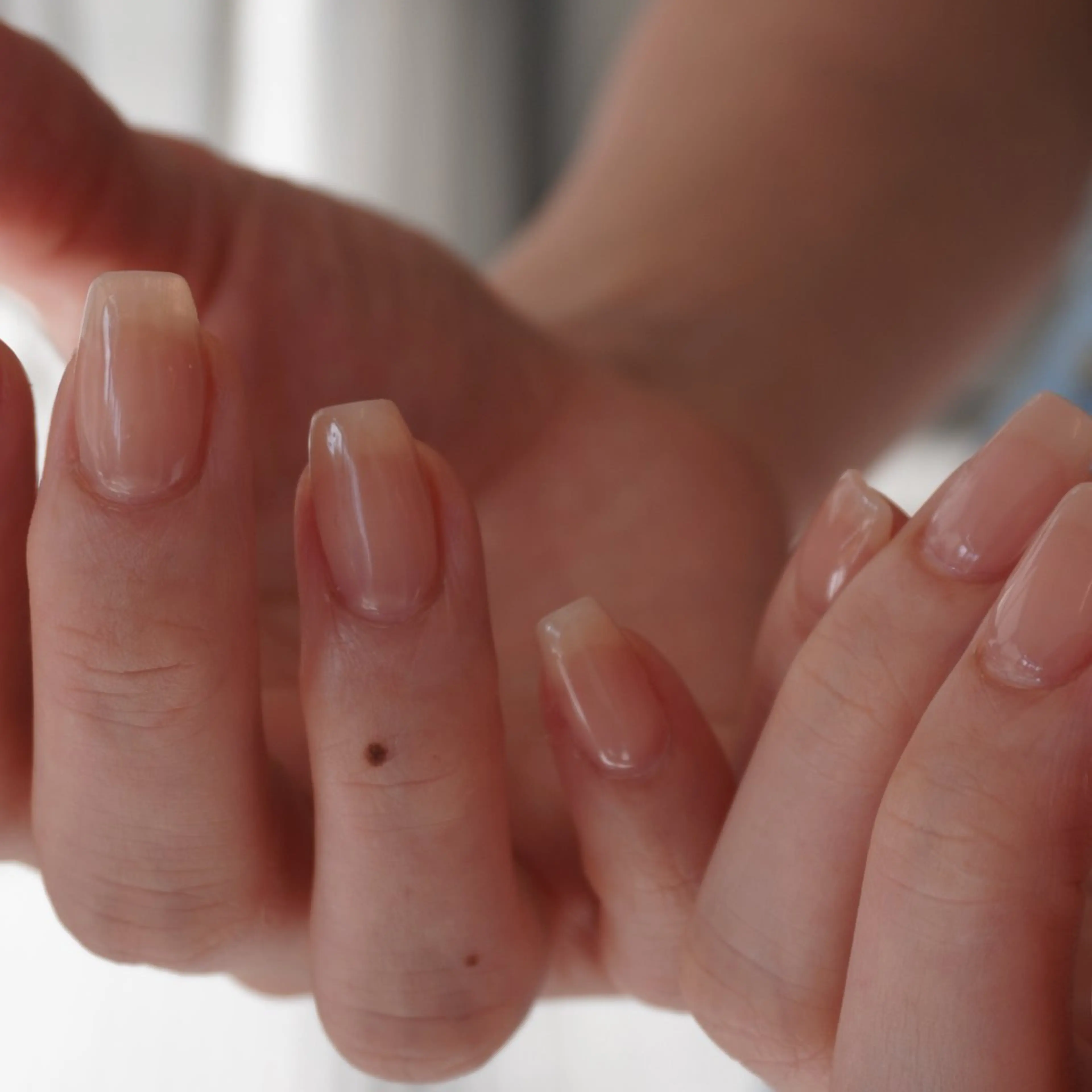 10:00-16:00 平日限定　one colorの写真