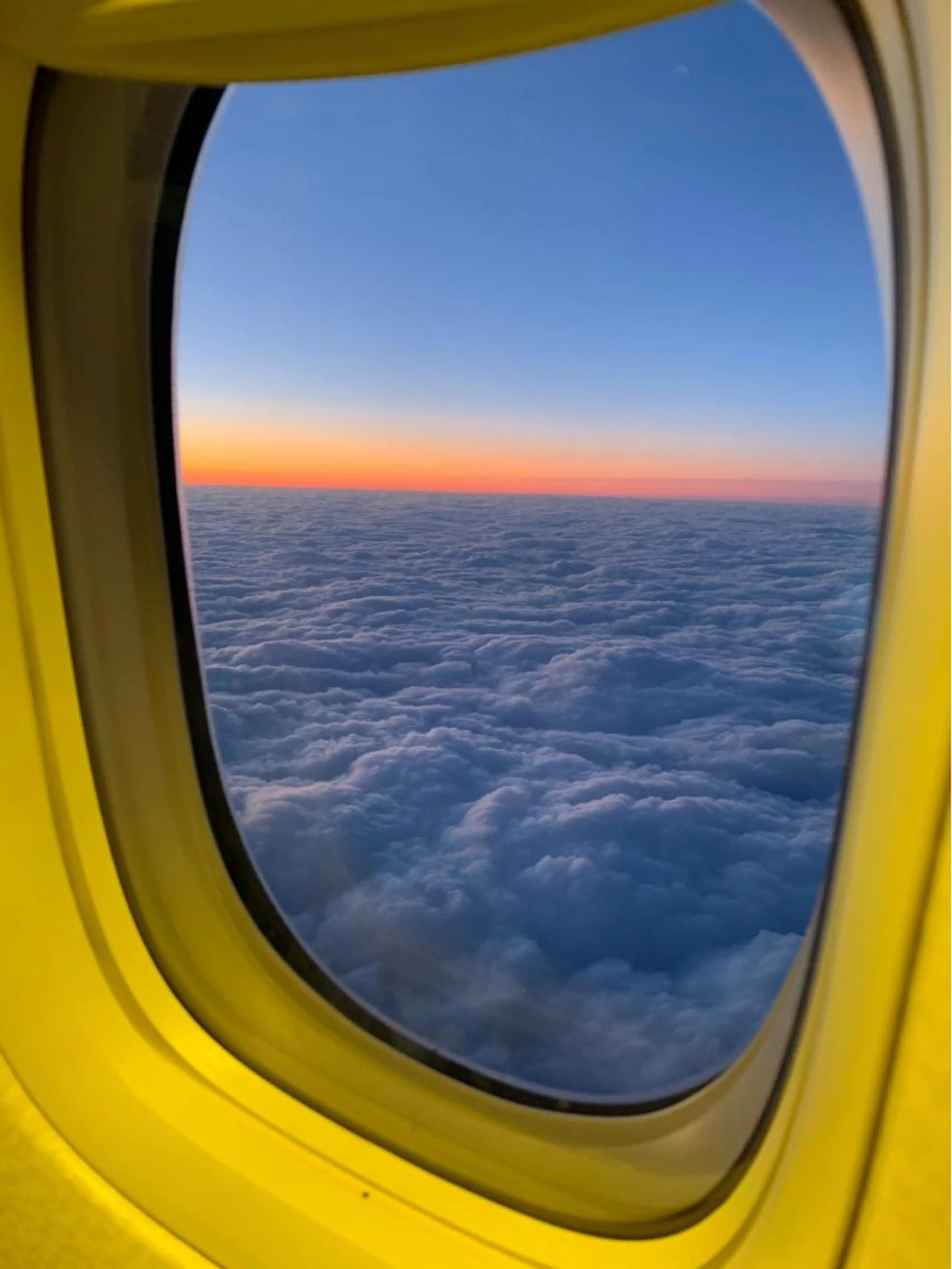 【１０月】リニューアルオープン価格🍇ワックス脱毛　VIOの写真