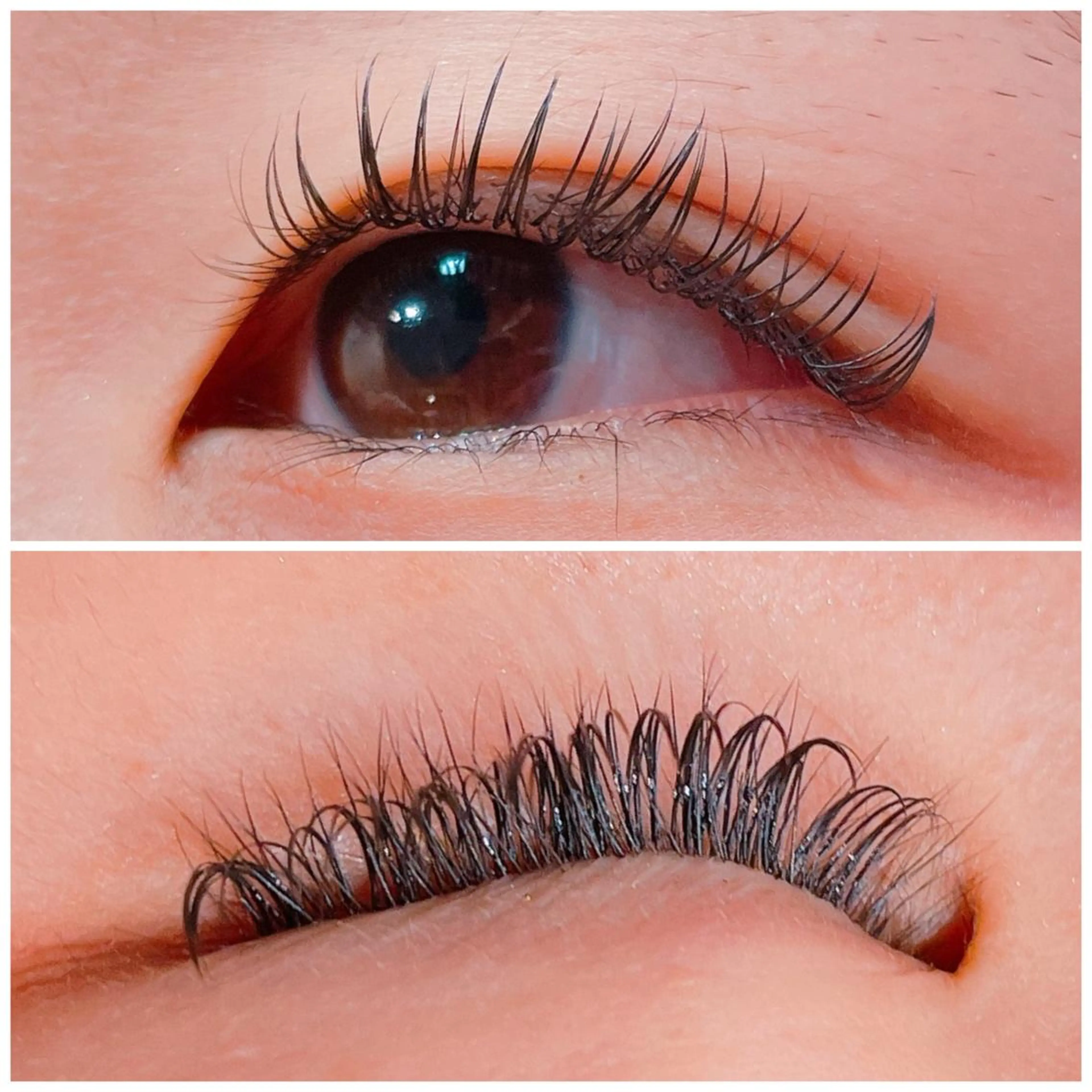 マツエク・マツパ Dカール フラットラッシュ Lono 棗のマツエク・マツパデザイン