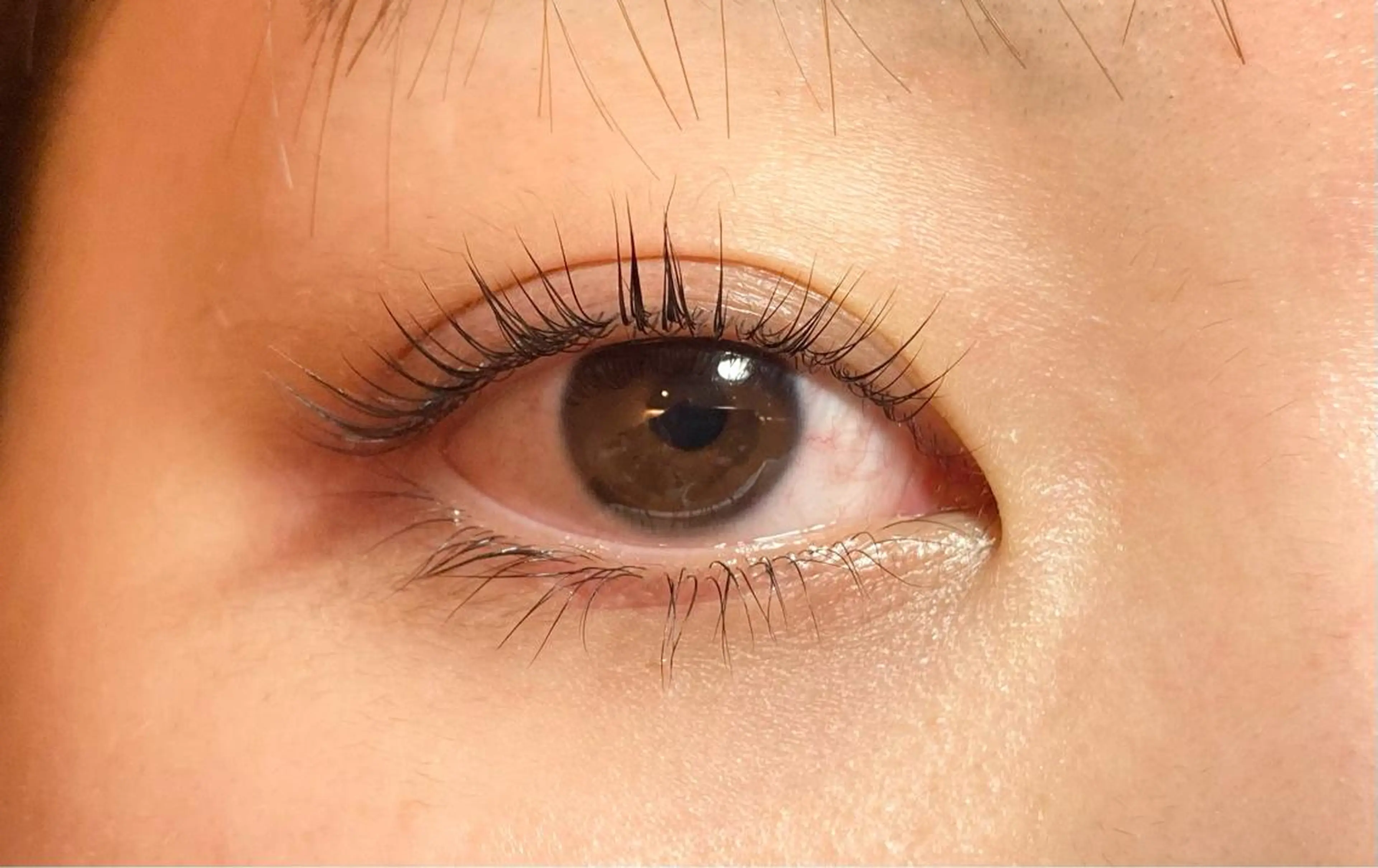 キッズ マツエク・マツパ パリジェンヌラッシュリフト sola: neolive出沼のマツエク・マツパデザイン