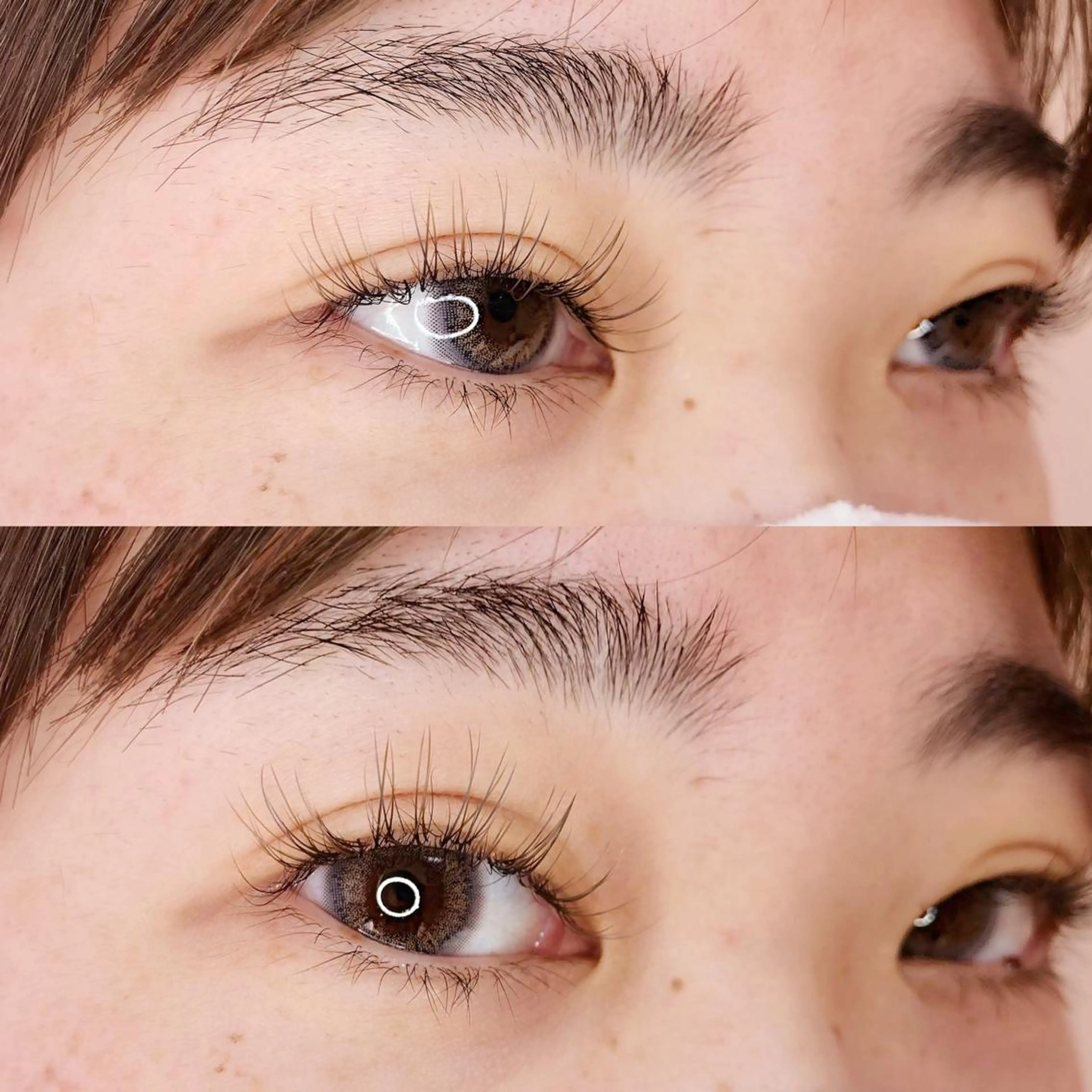 マツエク・マツパ Dカール Jカール パリジェンヌラッシュリフト パーフェクトウィンク ちぢいわみのりのマツエク・マツパデザイン