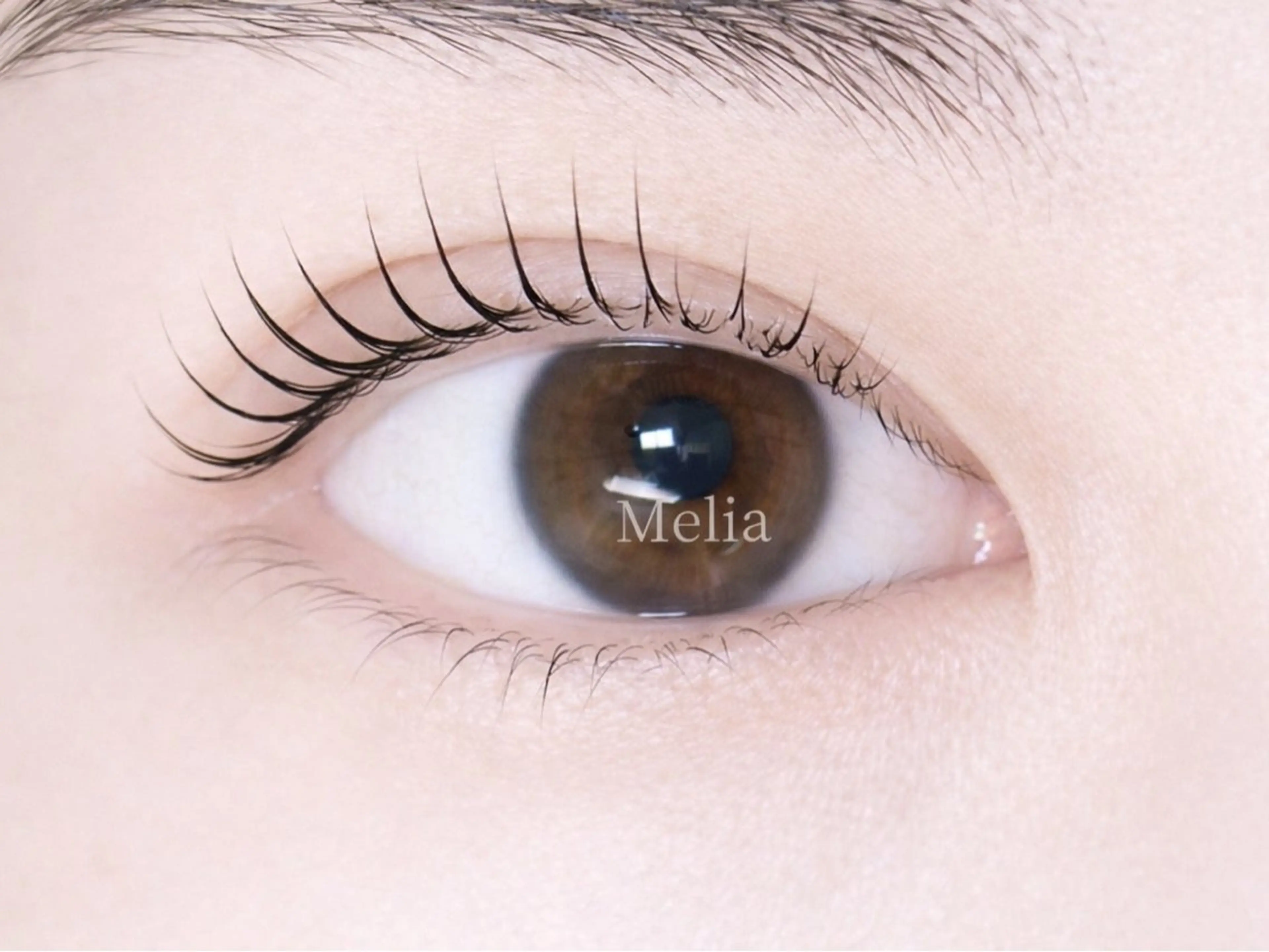 マツエク・マツパ Melia Chieのマツエク・マツパデザイン