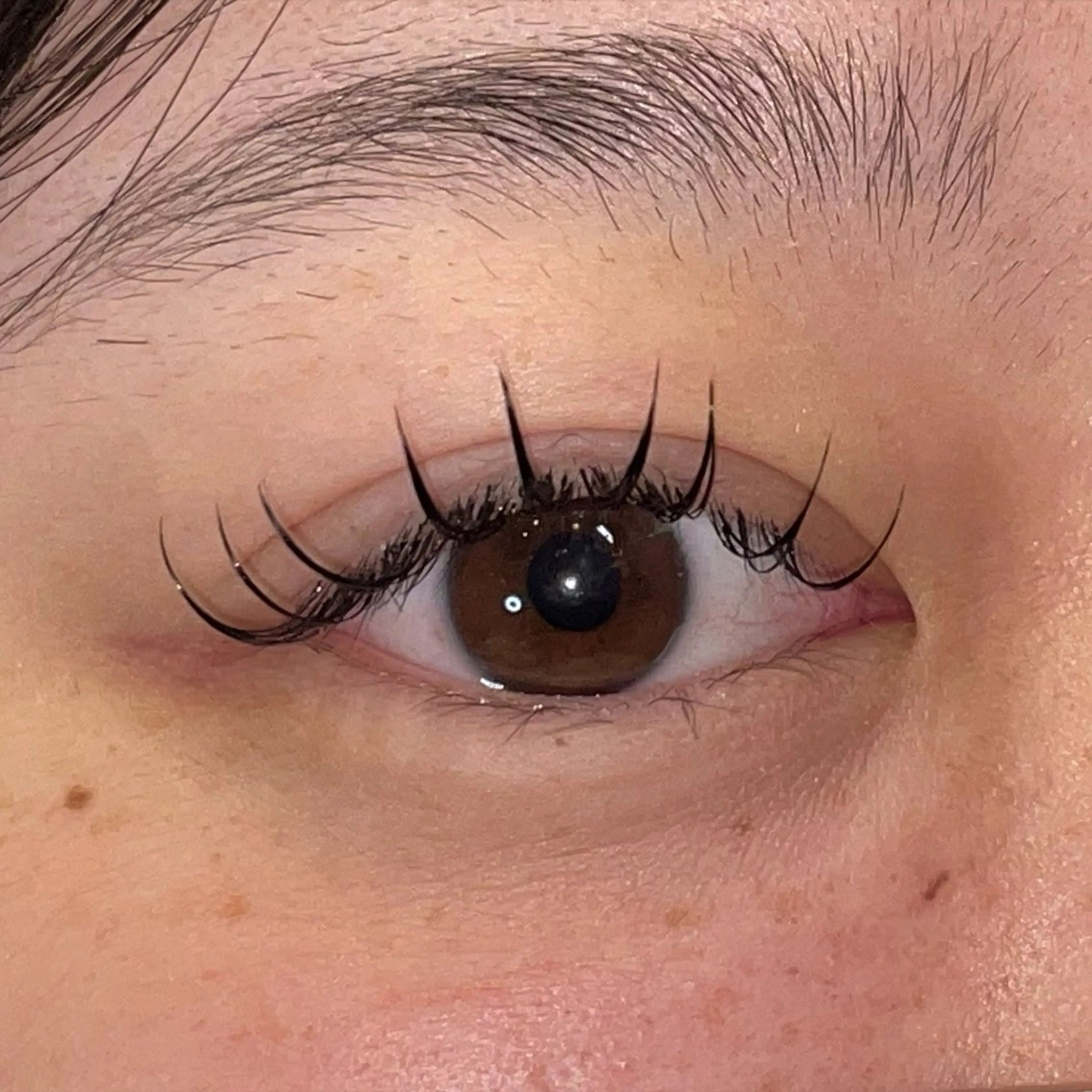 フラットラッシュ80本 ⭐️の写真