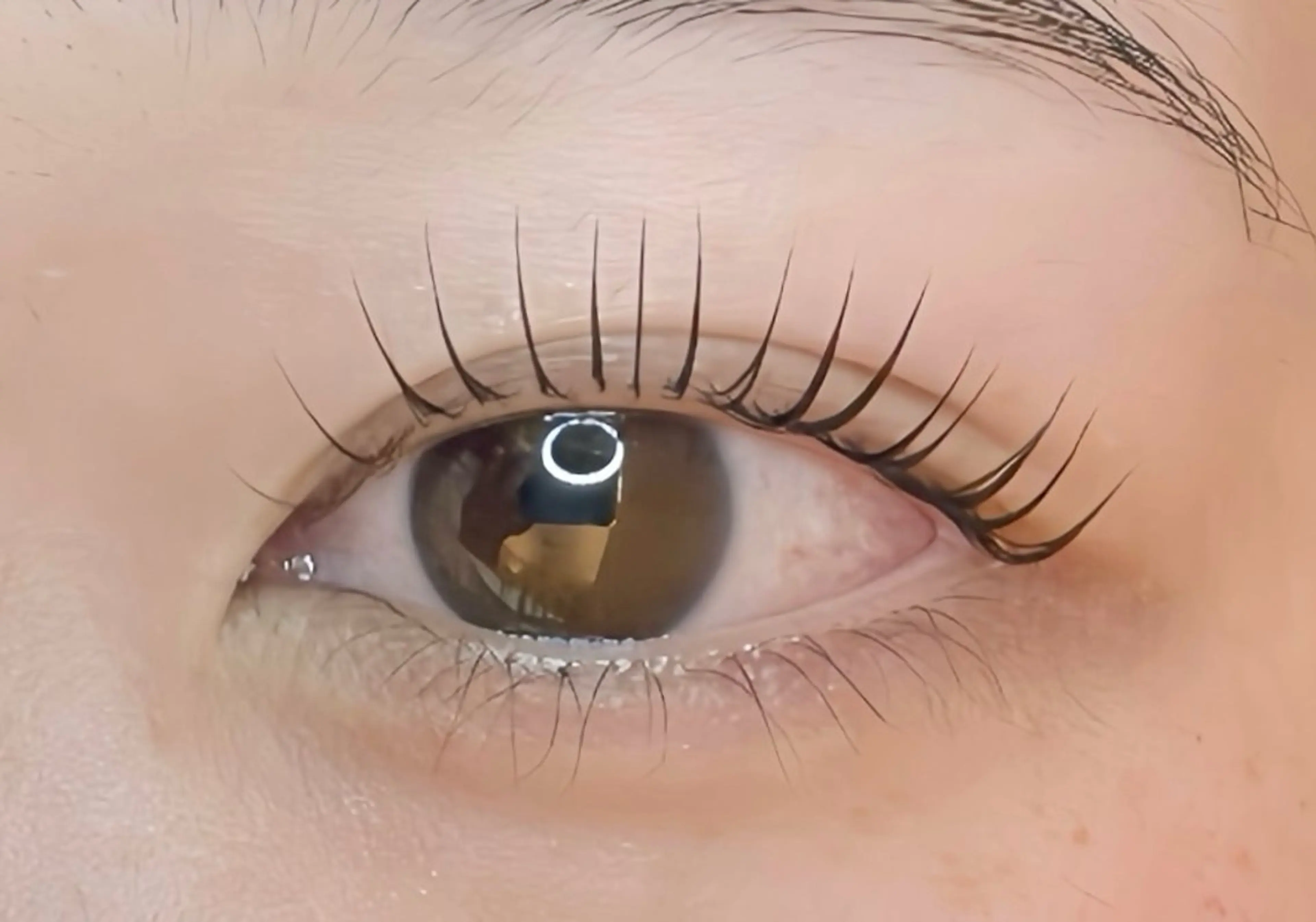 ❤︎まつ毛パーマ❤︎トリートメント&コーティング付の写真