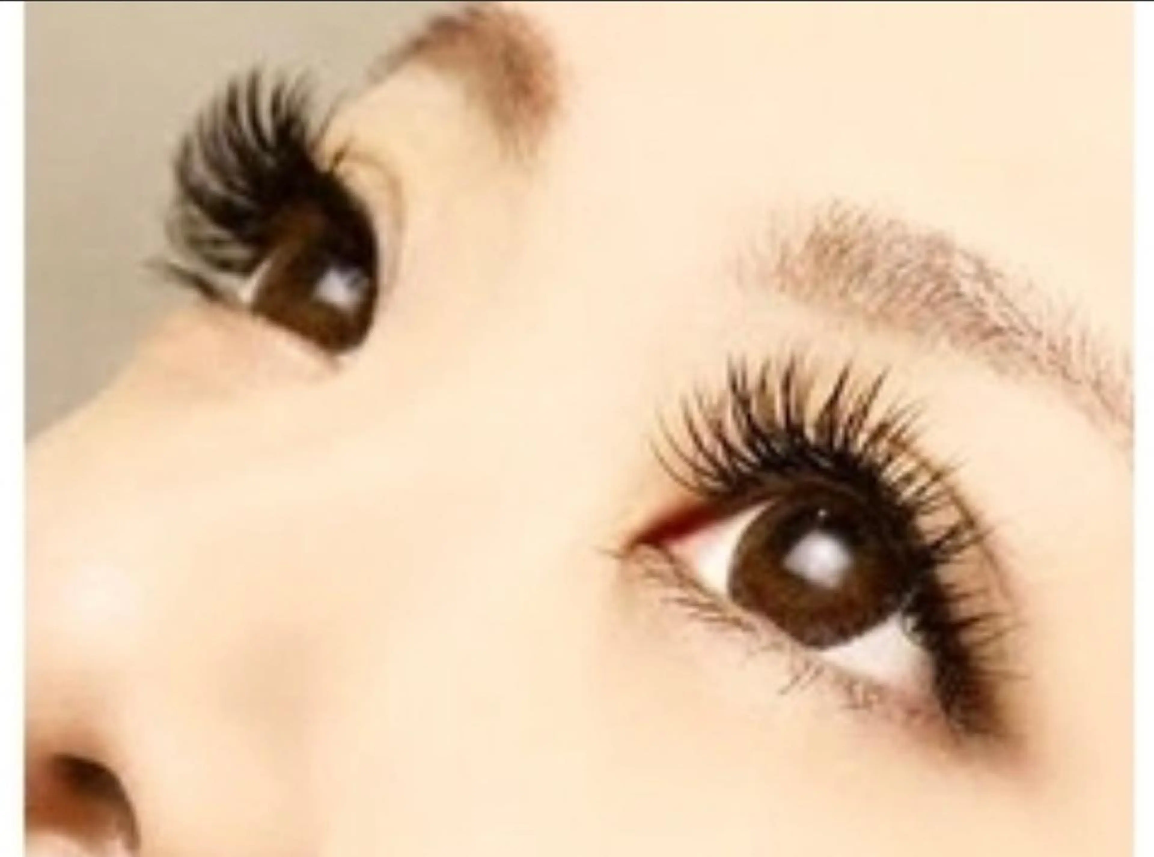 マツエク・マツパ ALETTA DONAのマツエク・マツパデザイン