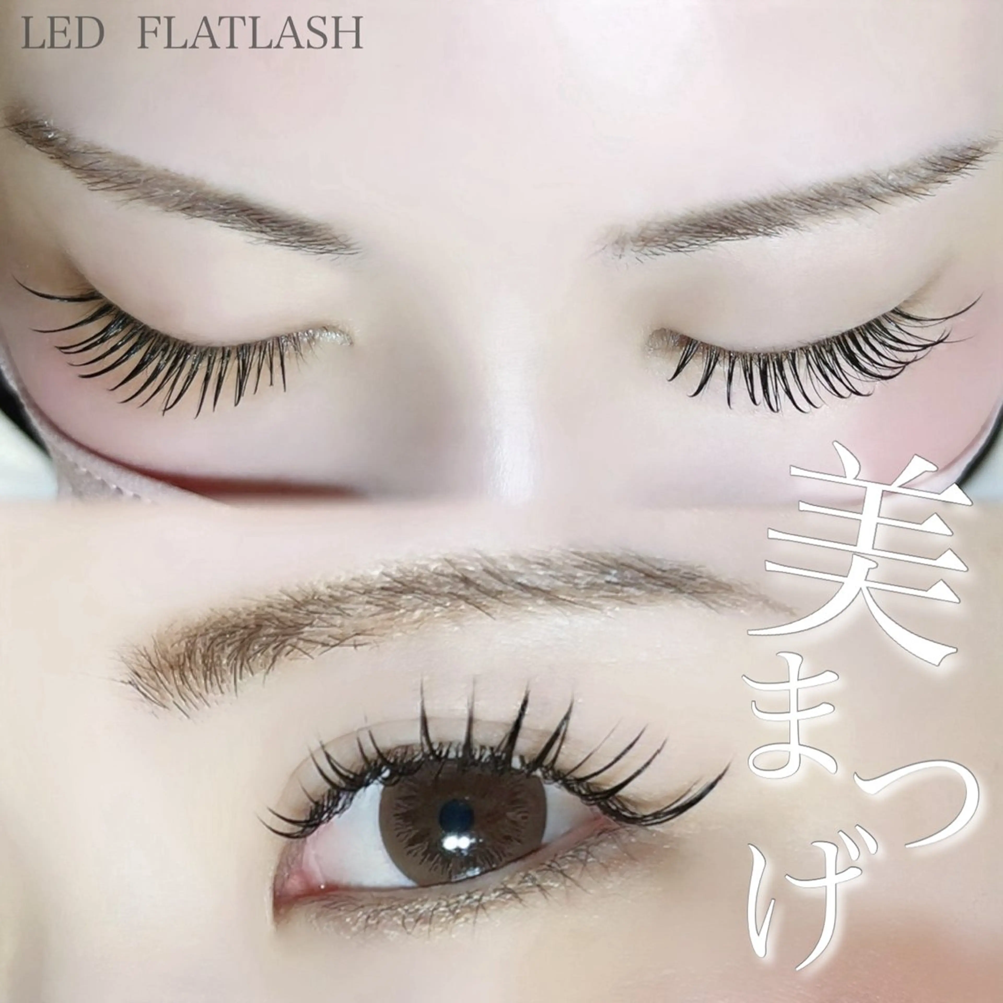 ãããšã¯ã»ããã Cã«ãŒã« ç®å°»é·ã ãããšã¯ Hearty äžç°ãããã®ãããšã¯ã»ããããã¶ã€ã³