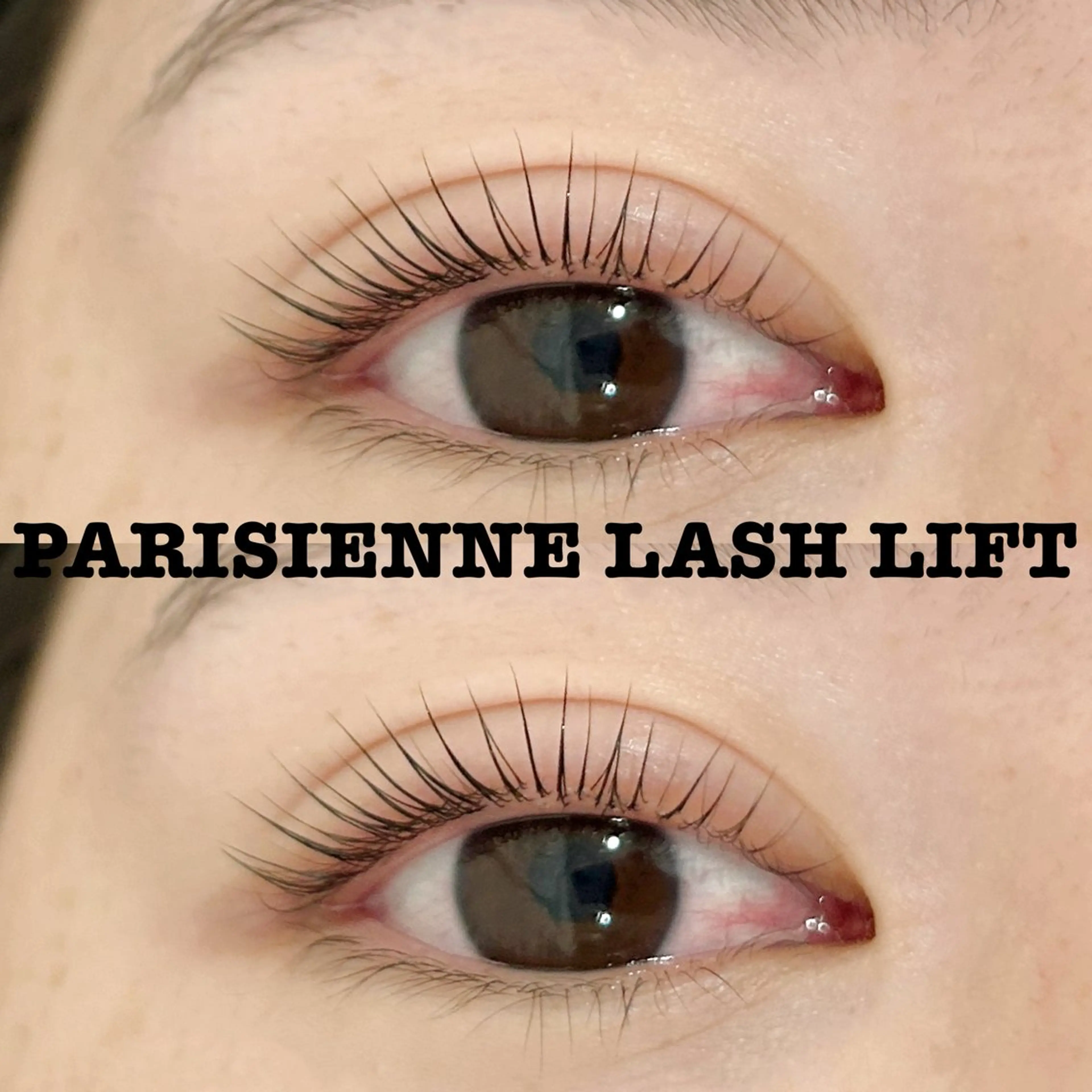 限定お得クーポン✨ラッシュアディクト➕まつ毛パーマの写真