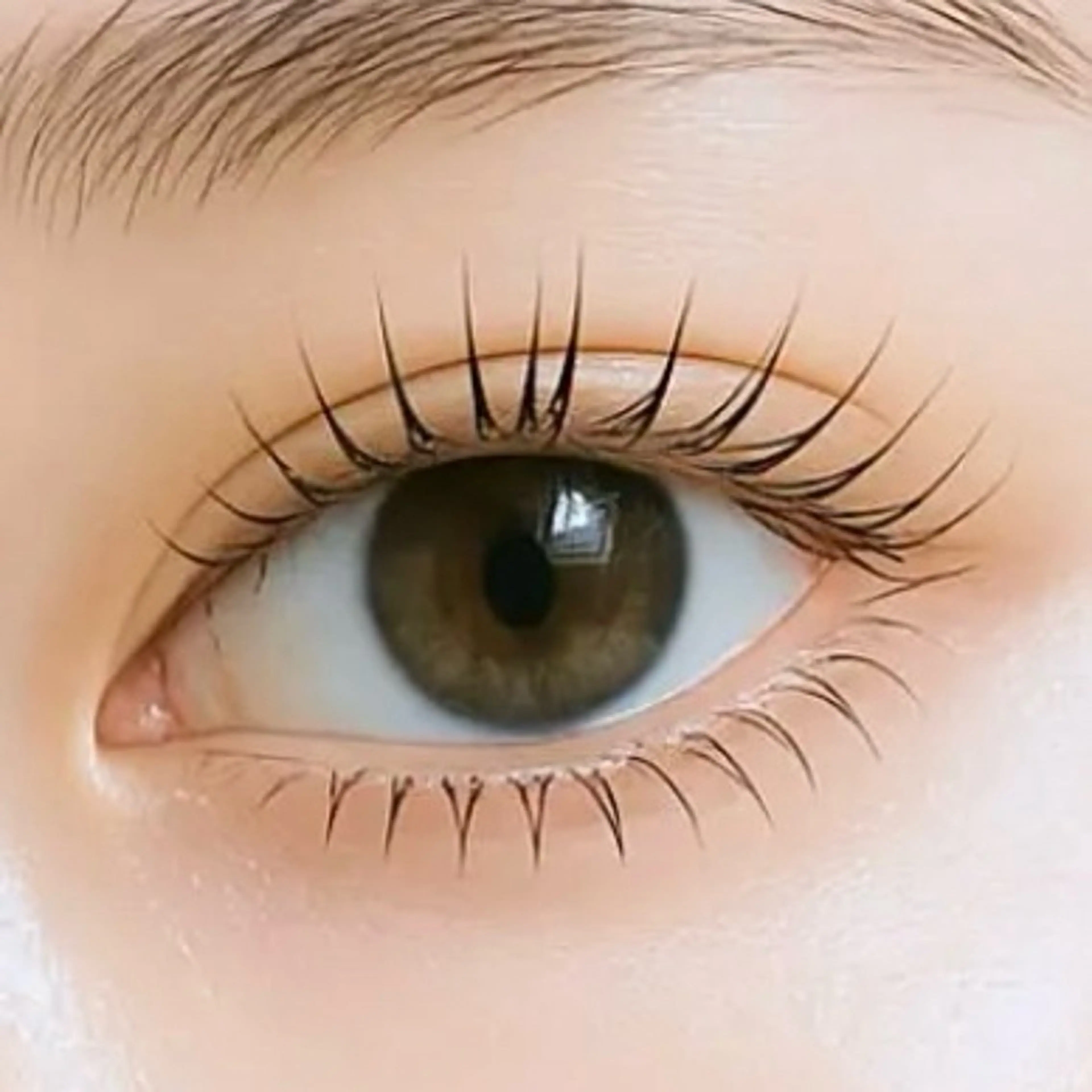 マツエク・マツパ マツパ まつ毛・眉/ 練習＆モニター専用のマツエク・マツパデザイン