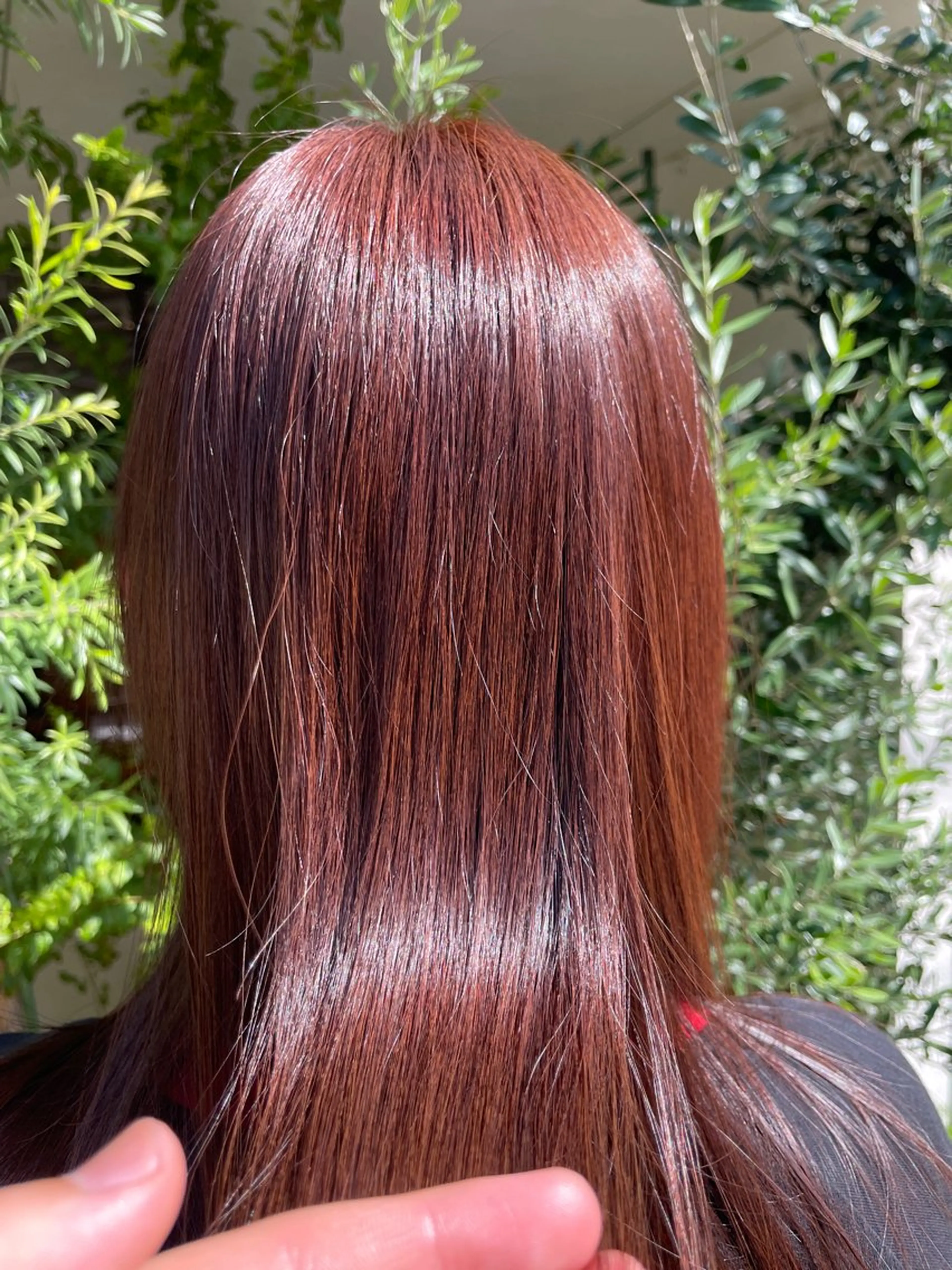 カラー🥣＋シープストリートメント🍀の写真