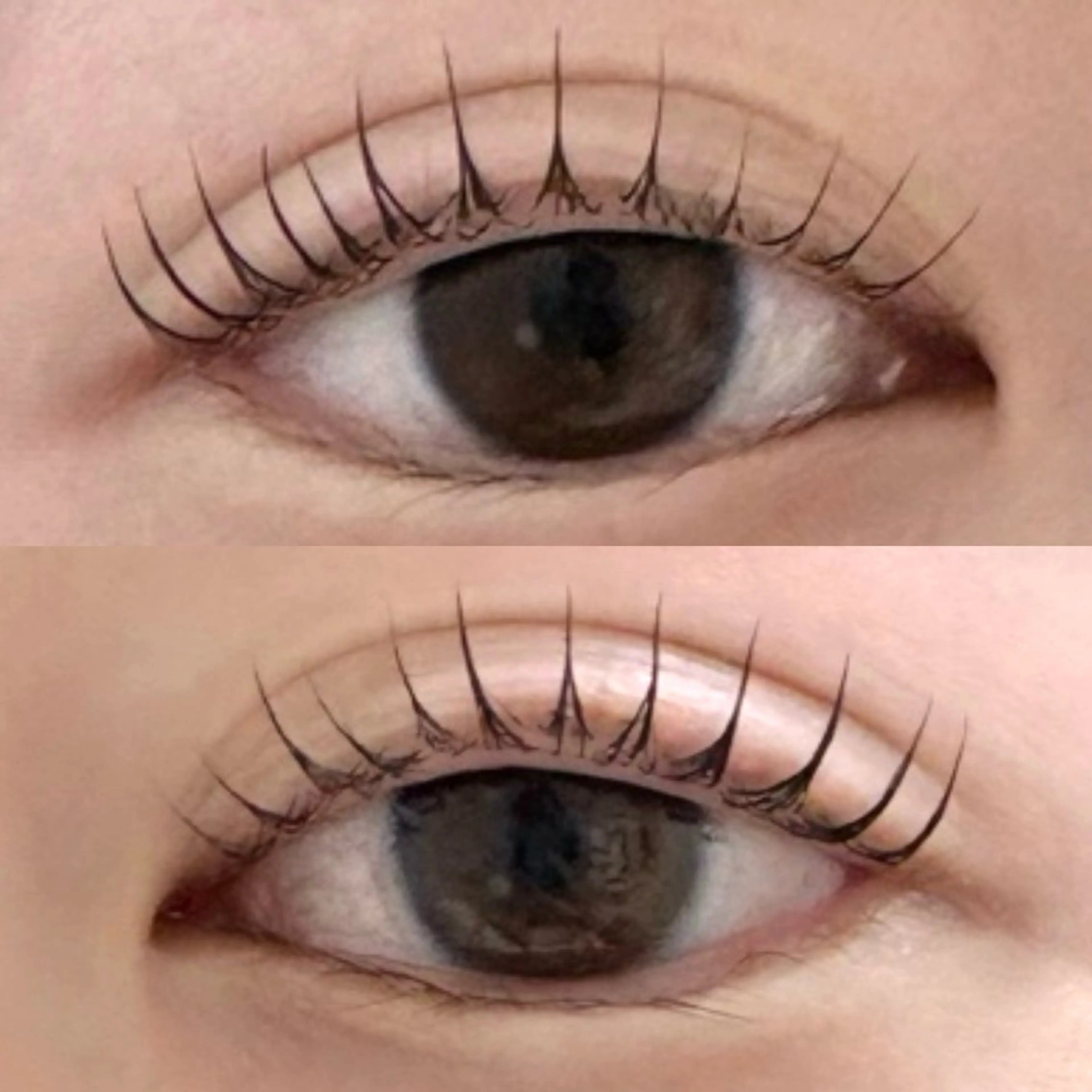 マツエク・マツパ パリジェンヌラッシュリフト 🍀Alba🍀 越川のマツエク・マツパデザイン