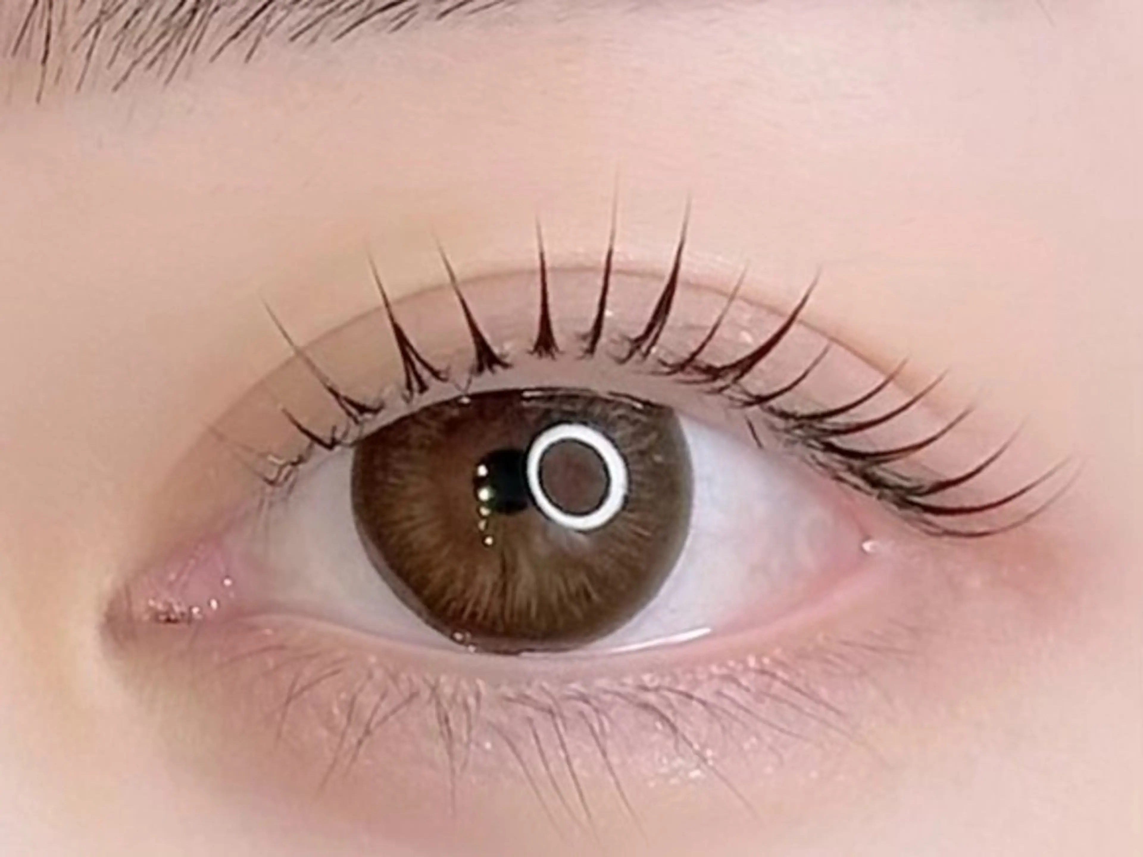 マツエク・マツパ 一重×まつ毛パーマ mellow メローのマツエク・マツパデザイン