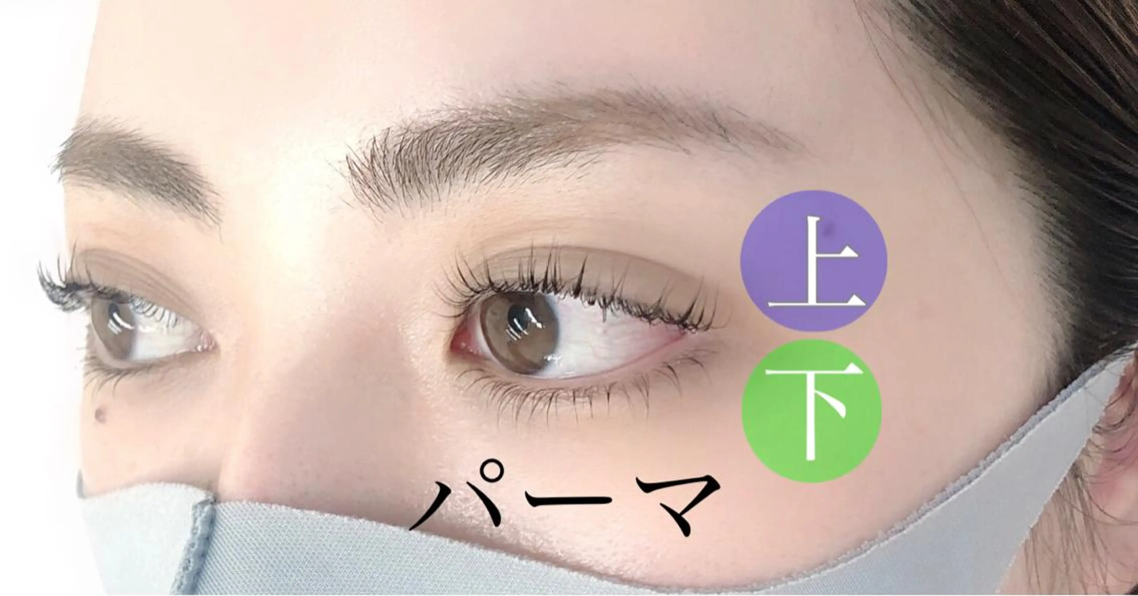 パーマ マツエク・マツパ 一重×まつ毛パーマ マツパ まつ毛・眉毛専門店 DAYS青葉台の眉毛・アイブロウイメージ