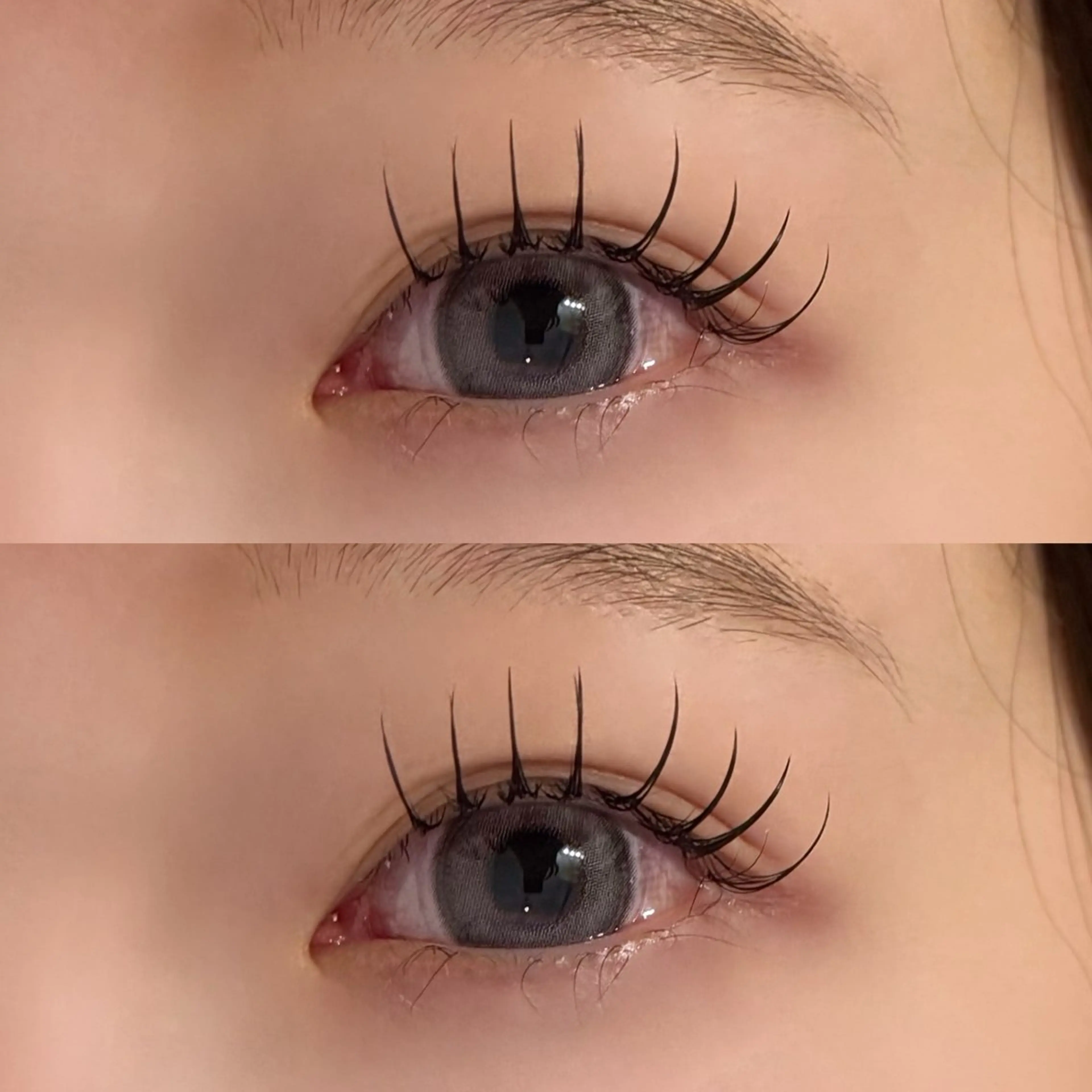 マツエク・マツパ マツエク 🐾ROAR🐾 HAZUKIのマツエク・マツパデザイン